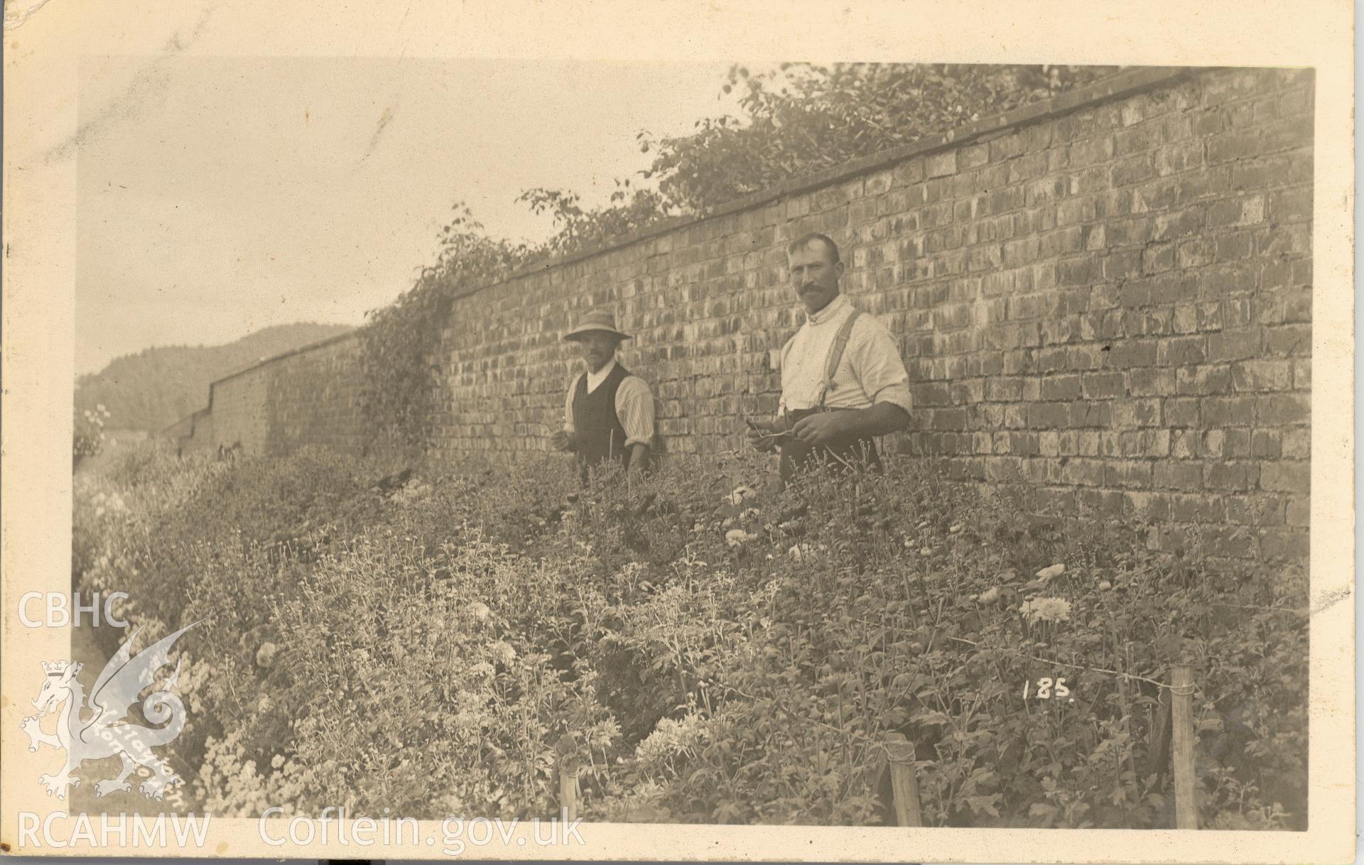 Digitised postcard image of two gardeners in Hilston House garden, Llangattock-vibon-avel, H Clayton, Monmouth. Produced by Parks and Gardens Data Services, from an original item in the Peter Davis Collection at Parks and Gardens UK. We hold only web-resolution images of this collection, suitable for viewing on screen and for research purposes only. We do not hold the original images, or publication quality scans.