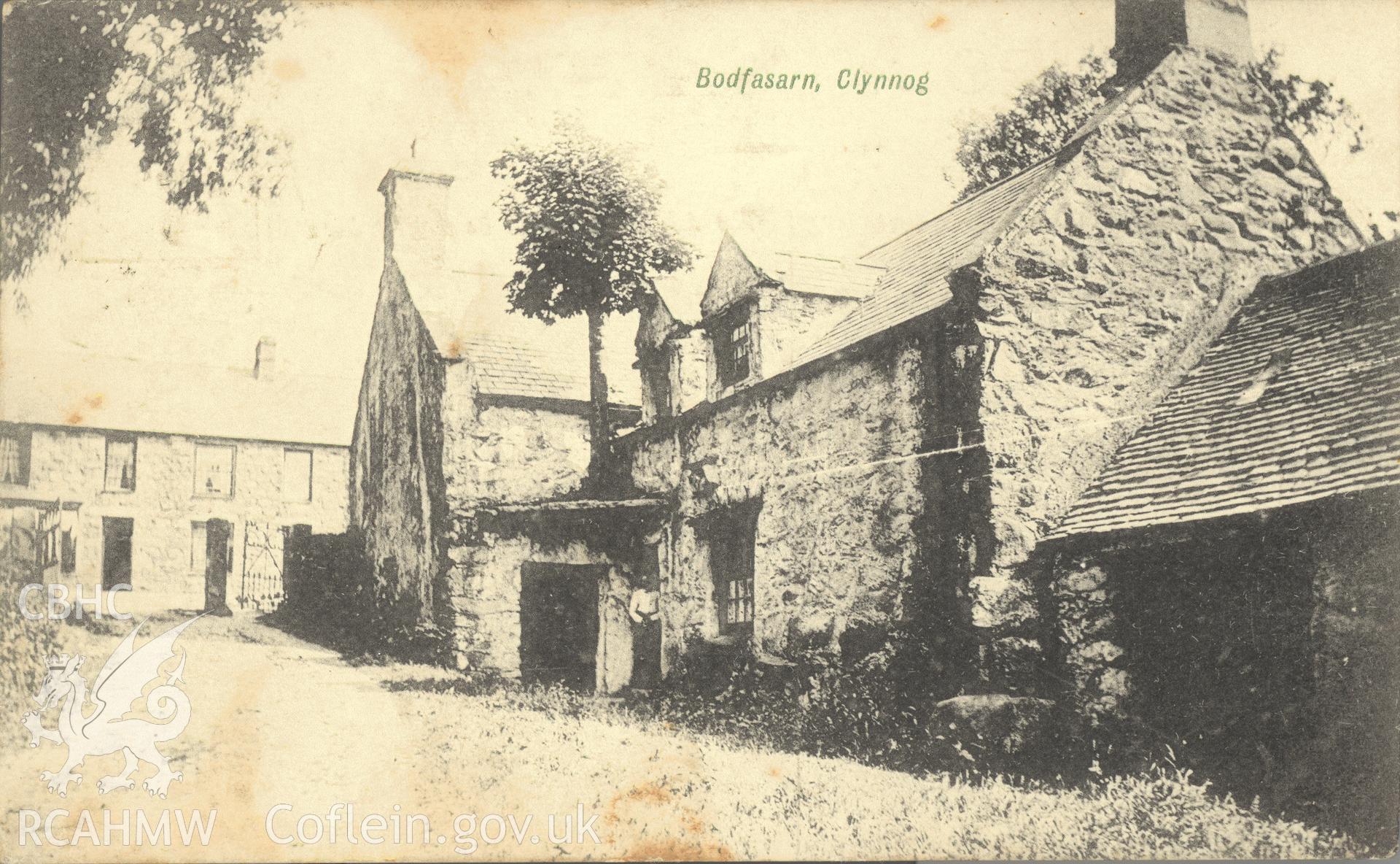 Digitised postcard image of Bodfasarn, Clynnog, showing 'freak tree', J.R. Owen, Nevin. Produced by Parks and Gardens Data Services, from an original item in the Peter Davis Collection at Parks and Gardens UK. We hold only web-resolution images of this collection, suitable for viewing on screen and for research purposes only. We do not hold the original images, or publication quality scans.