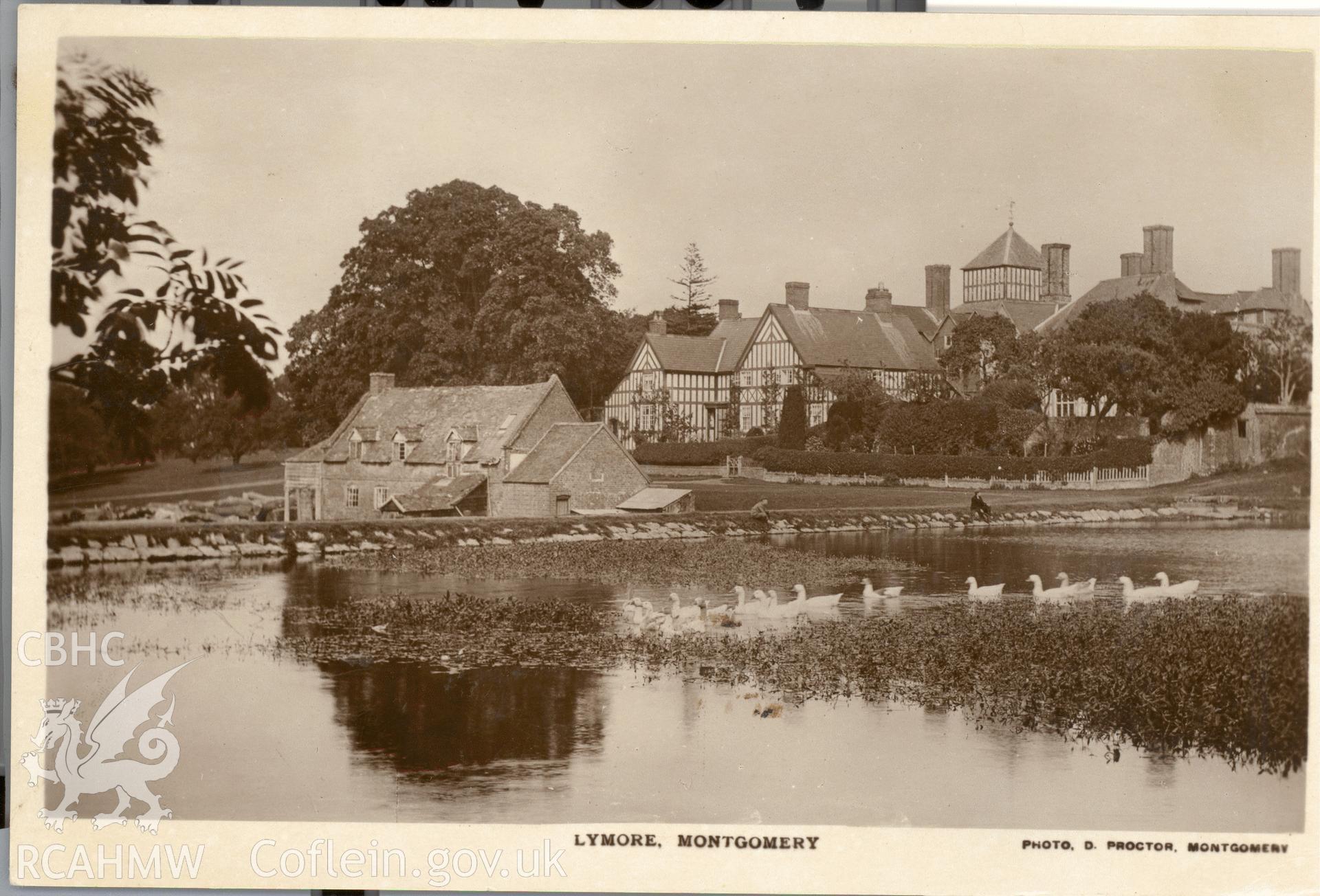 Digitised postcard image of Lymore Hall, Montgomery, D. Proctor, Montgomery. Produced by Parks and Gardens Data Services, from an original item in the Peter Davis Collection at Parks and Gardens UK. We hold only web-resolution images of this collection, suitable for viewing on screen and for research purposes only. We do not hold the original images, or publication quality scans.