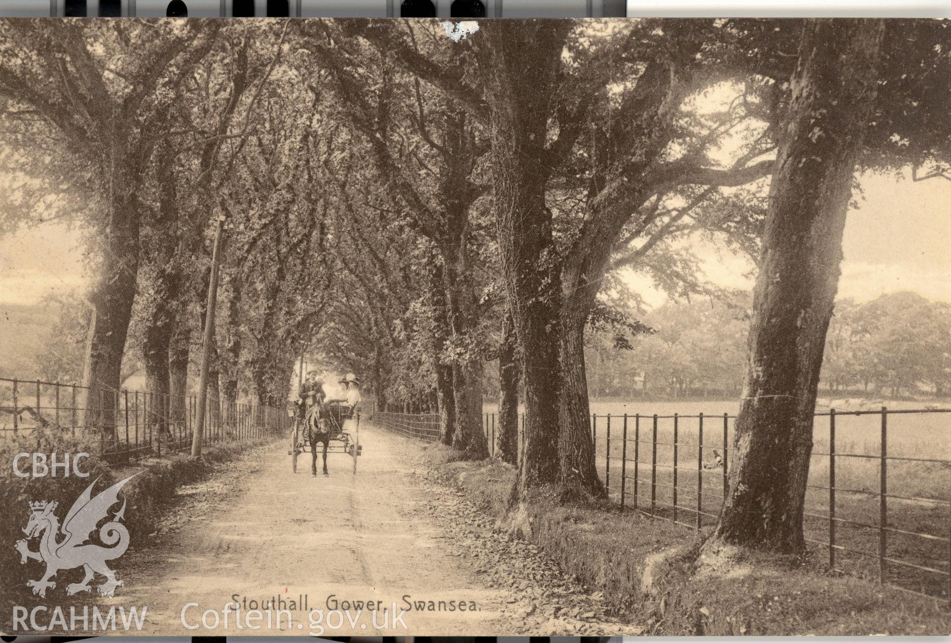 Digitised postcard image of drive in Stouthall grounds, Reynoldston, "Zenith Series" G.W.S. Produced by Parks and Gardens Data Services, from an original item in the Peter Davis Collection at Parks and Gardens UK. We hold only web-resolution images of this collection, suitable for viewing on screen and for research purposes only. We do not hold the original images, or publication quality scans.