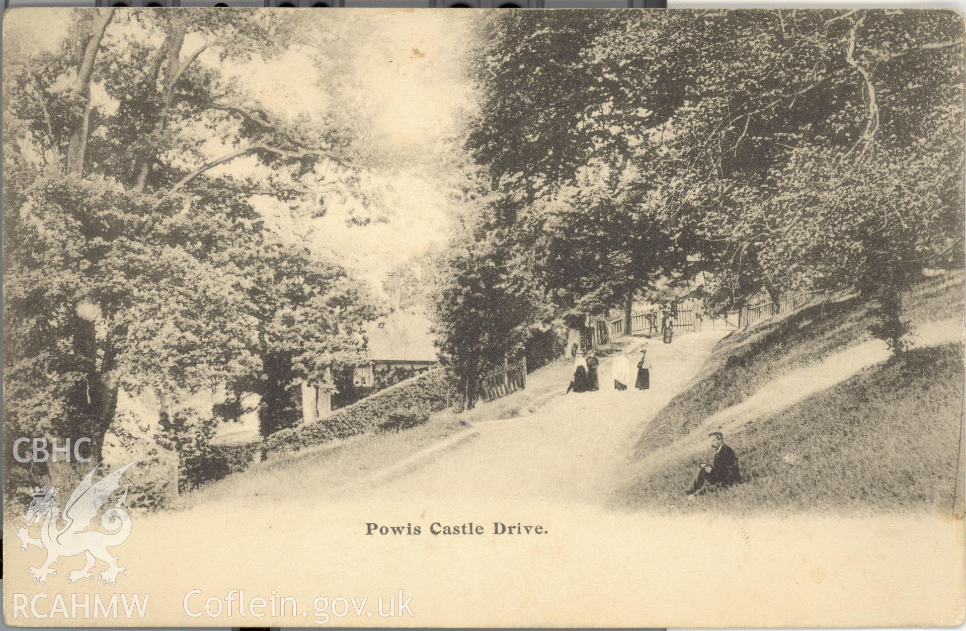 Digitised postcard image of park drive at Powis Castle with figures. Produced by Parks and Gardens Data Services, from an original item in the Peter Davis Collection at Parks and Gardens UK. We hold only web-resolution images of this collection, suitable for viewing on screen and for research purposes only. We do not hold the original images, or publication quality scans.