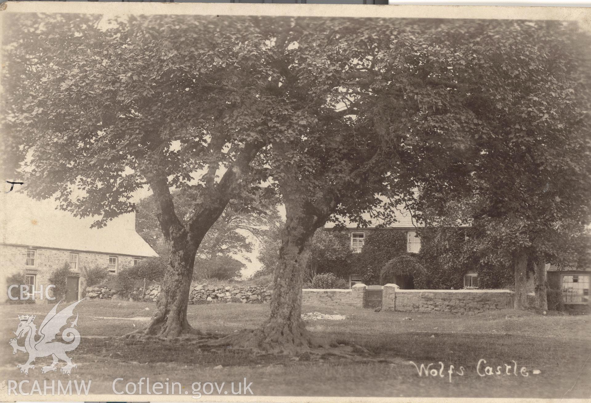 Digitised postcard image of Wolfscastle village. Produced by Parks and Gardens Data Services, from an original item in the Peter Davis Collection at Parks and Gardens UK. We hold only web-resolution images of this collection, suitable for viewing on screen and for research purposes only. We do not hold the original images, or publication quality scans.