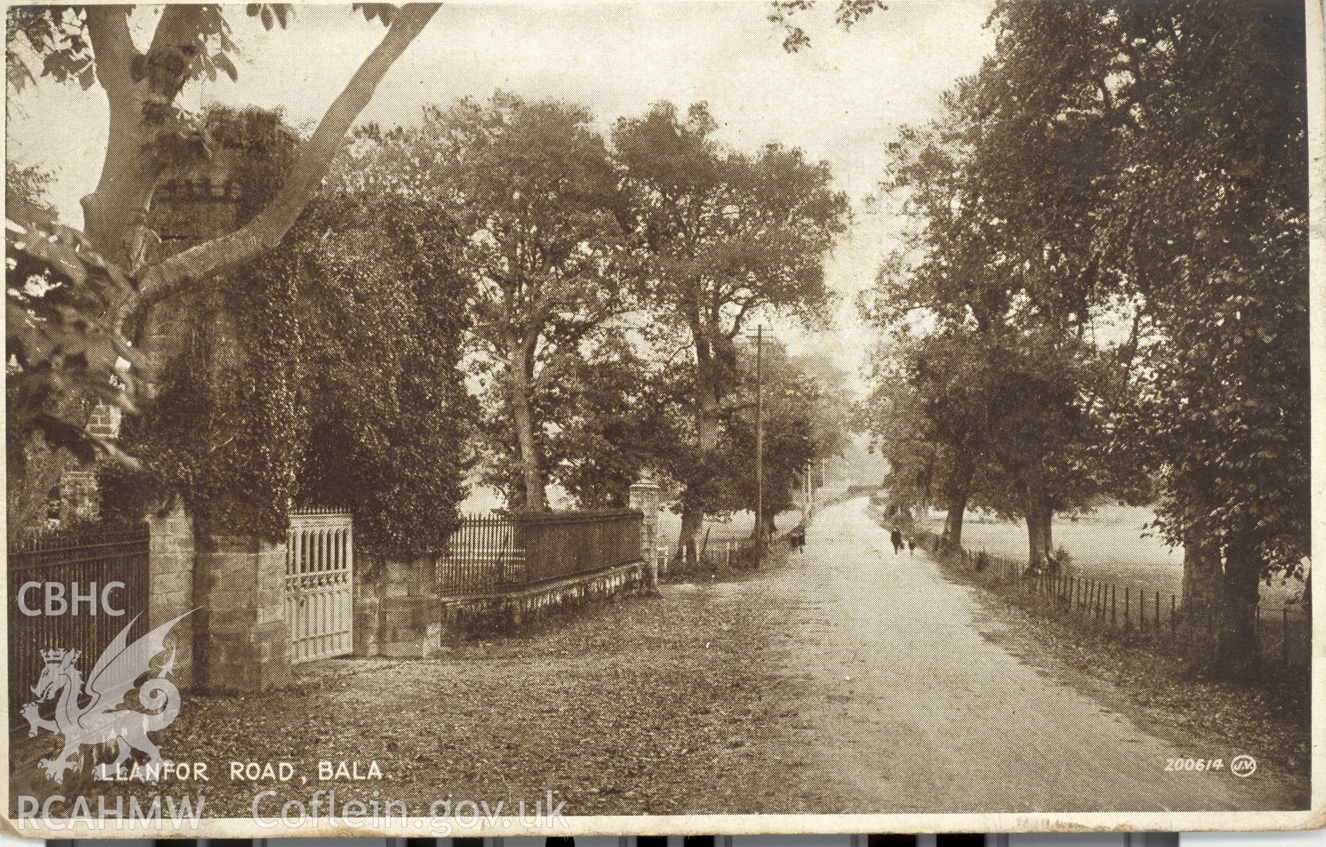 Digitised postcard image of Rhiwlas garden, Bala, driveway and gates, Valentines "Photo Brown" Postcards. Produced by Parks and Gardens Data Services, from an original item in the Peter Davis Collection at Parks and Gardens UK. We hold only web-resolution images of this collection, suitable for viewing on screen and for research purposes only. We do not hold the original images, or publication quality scans.