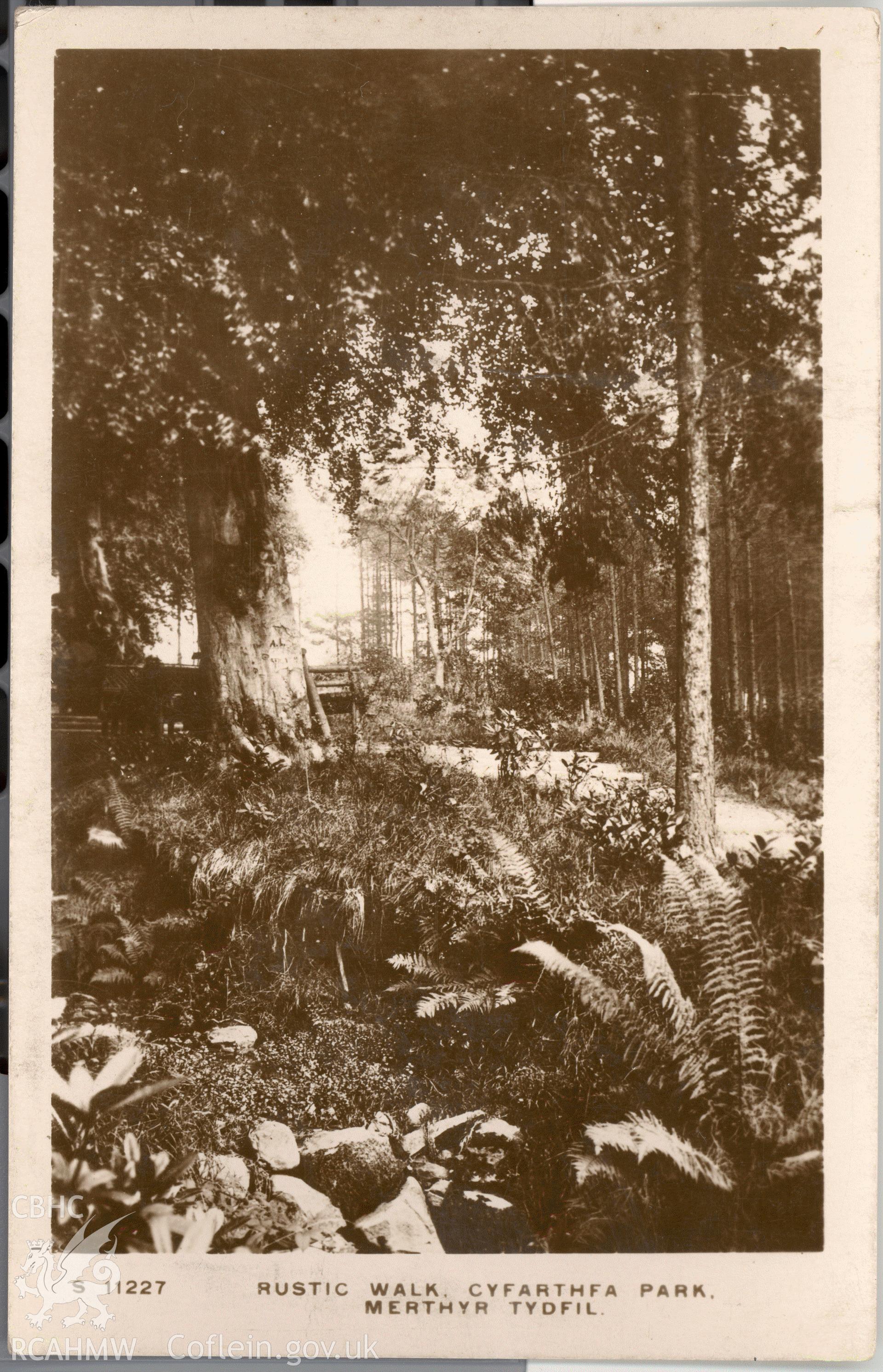 Digitised postcard image of Cyfarthfa Park, Merthyr Tydfil, showing the Rustic Walk, Kingsway real Photo Series. Produced by Parks and Gardens Data Services, from an original item in the Peter Davis Collection at Parks and Gardens UK. We hold only web-resolution images of this collection, suitable for viewing on screen and for research purposes only. We do not hold the original images, or publication quality scans.