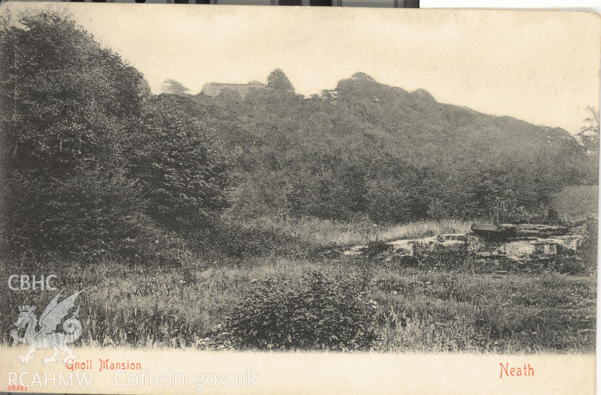 Digitised postcard image of Gnoll House garden, Neath, Stengel and Co., London. Produced by Parks and Gardens Data Services, from an original item in the Peter Davis Collection at Parks and Gardens UK. We hold only web-resolution images of this collection, suitable for viewing on screen and for research purposes only. We do not hold the original images, or publication quality scans.