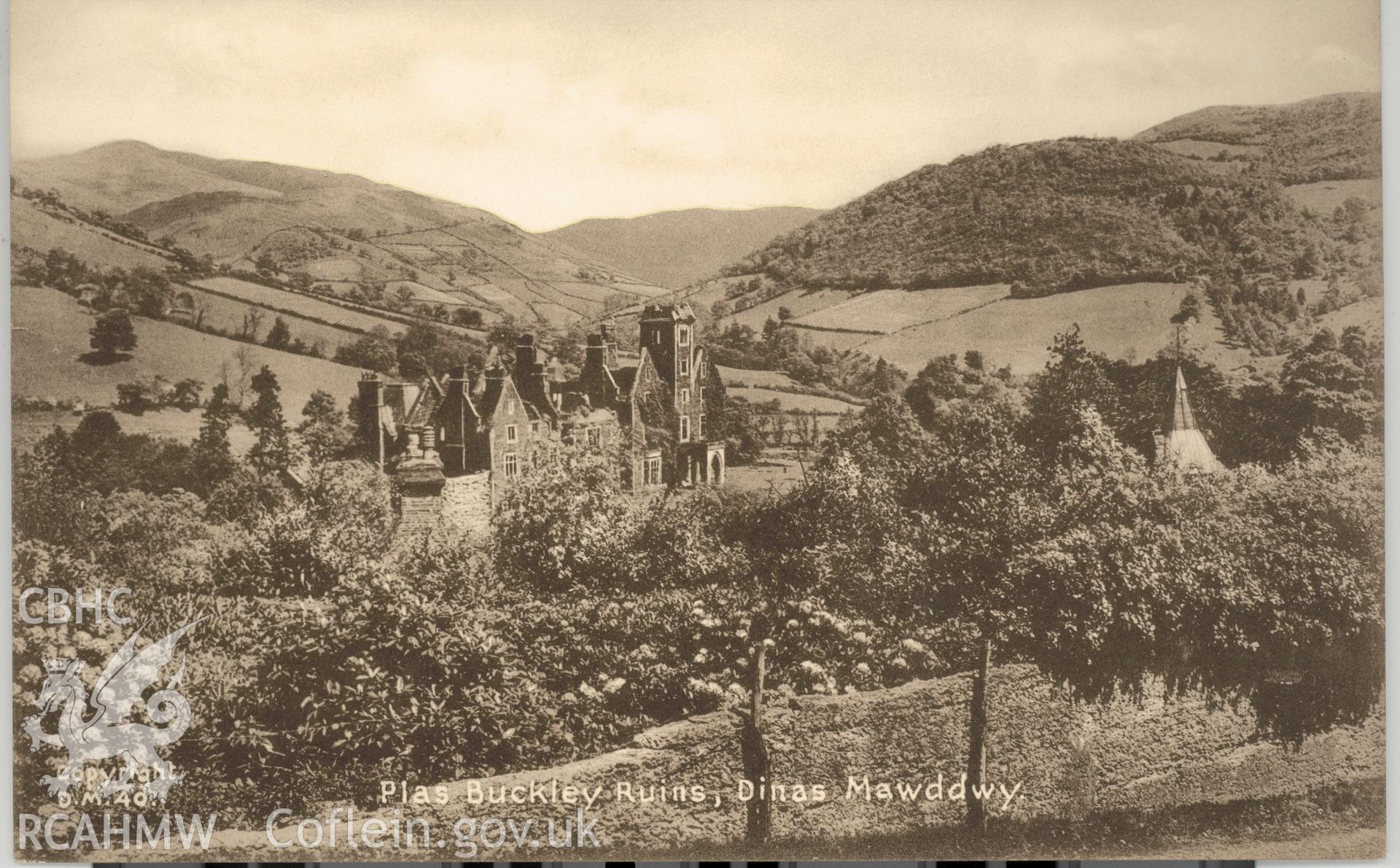 Digitised postcard image of Plas Dinas Mawddwy in ruins, Lilywhite (1932) Ltd. Produced by Parks and Gardens Data Services, from an original item in the Peter Davis Collection at Parks and Gardens UK. We hold only web-resolution images of this collection, suitable for viewing on screen and for research purposes only. We do not hold the original images, or publication quality scans.