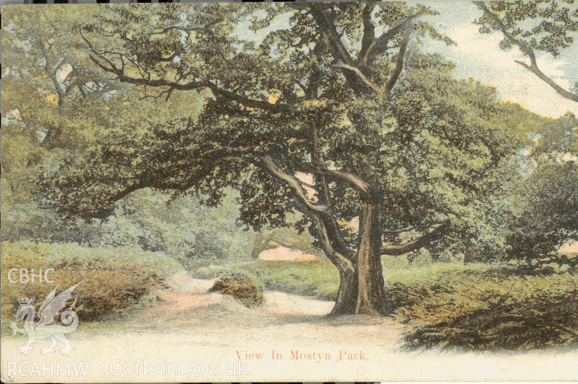 Digitised postcard image of Mostyn Park, E Morgan Dyserth. Produced by Parks and Gardens Data Services, from an original item in the Peter Davis Collection at Parks and Gardens UK. We hold only web-resolution images of this collection, suitable for viewing on screen and for research purposes only. We do not hold the original images, or publication quality scans.