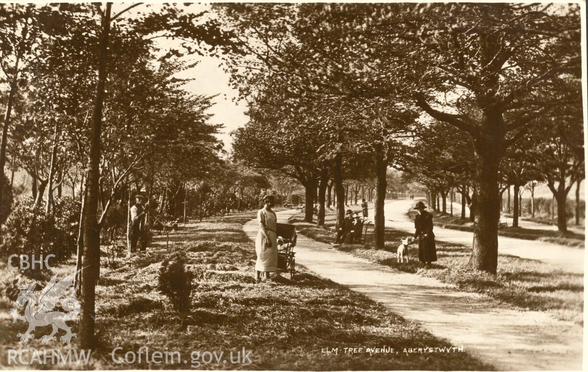 Digitised postcard image of Plascrug Avenue, Aberystwyth. Produced by Parks and Gardens Data Services, from an original item in the Peter Davis Collection at Parks and Gardens UK. We hold only web-resolution images of this collection, suitable for viewing on screen and for research purposes only. We do not hold the original images, or publication quality scans.