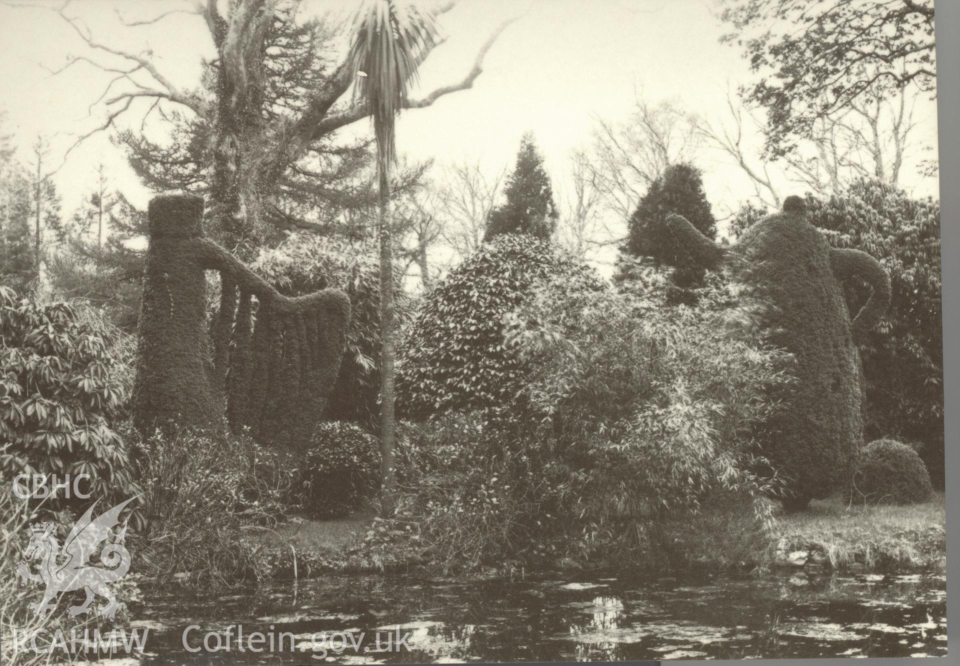 Digitised postcard image of entrance to Glynllifon mansion, Llandwrog, Gwynedd Archives and Museum service. Produced by Parks and Gardens Data Services, from an original item in the Peter Davis Collection at Parks and Gardens UK. We hold only web-resolution images of this collection, suitable for viewing on screen and for research purposes only. We do not hold the original images, or publication quality scans.