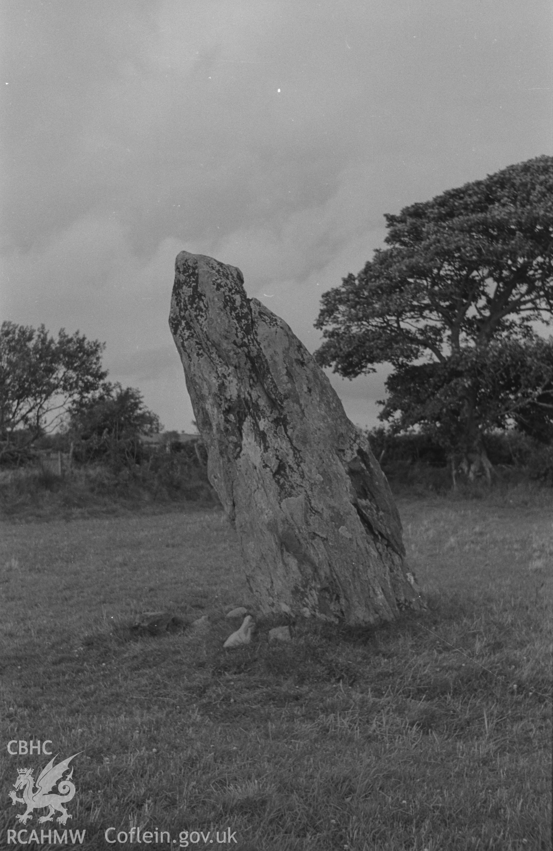 Black and White photograph showing Llech Gron standing stone, Dyffryn Arth. Photographed by Arthur Chater in August 1962 from Grid Reference SN 542 648, looking north.