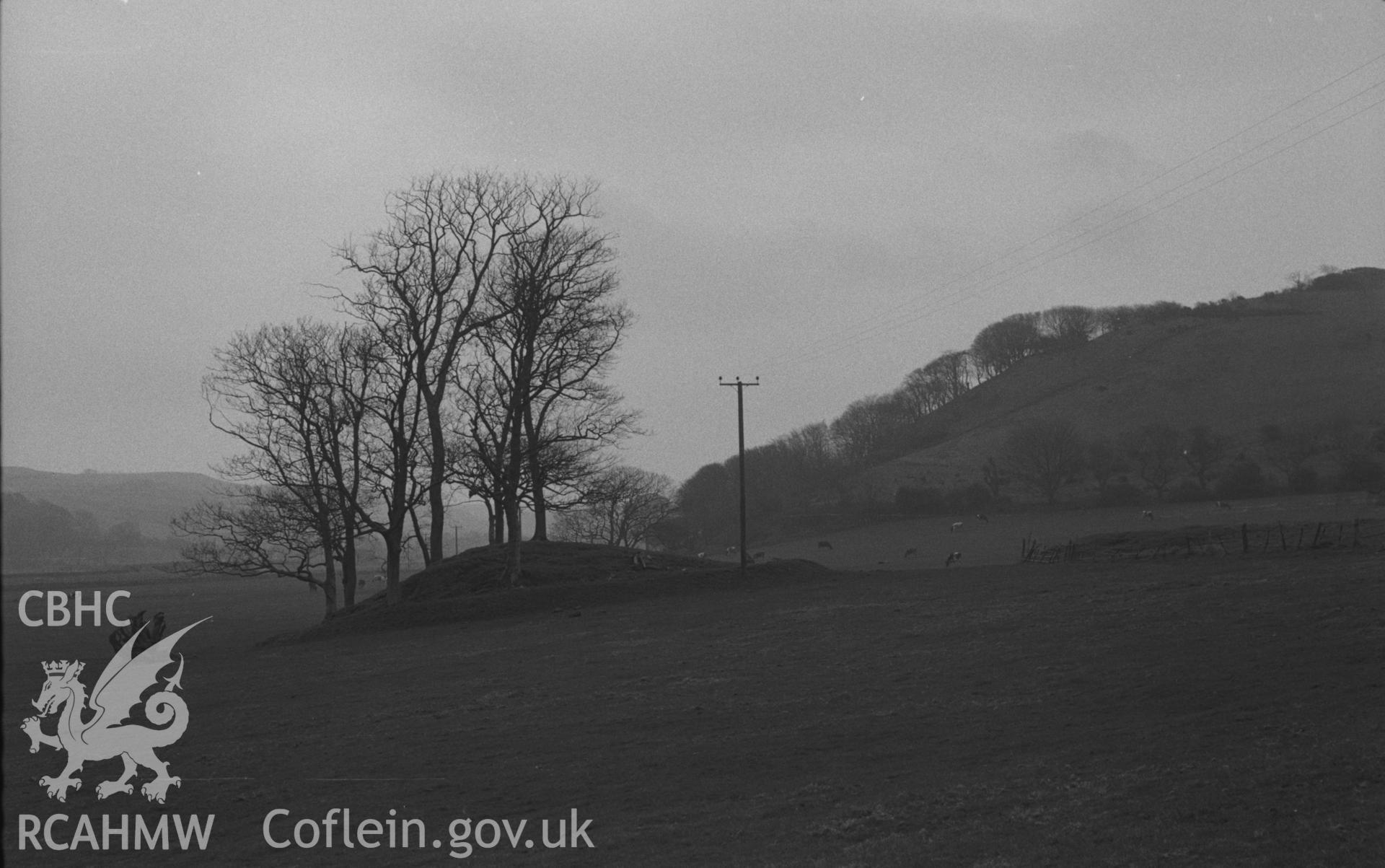 Black and White photograph showing artificial mound with elm trees in field below Tanybwlch House. Photographed by Arthur Chater in April 1962 from Grid Reference SN 581 794, looking east south east.