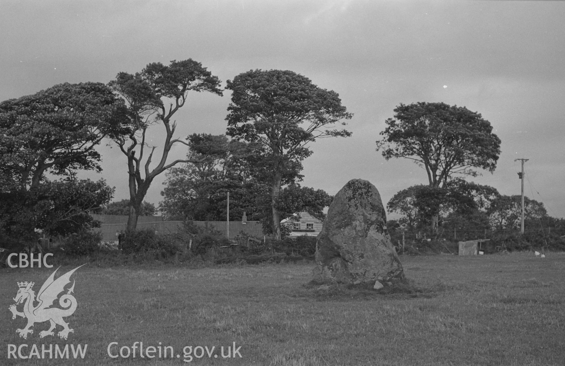 Black and White photograph showing Llech Gron standing stone, Dyffryn Arth. Photographed by Arthur Chater in August 1962 from Grid Reference SN 542 648, looking north east.