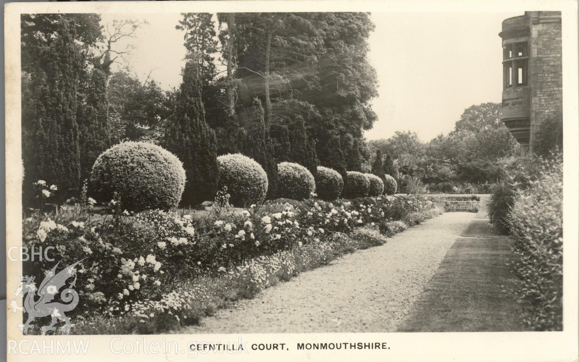 Digitised postcard image of Cefn Tilla Court garden, Llandenny, Photo Courtesy of S. Wales Argus. Produced by Parks and Gardens Data Services, from an original item in the Peter Davis Collection at Parks and Gardens UK. We hold only web-resolution images of this collection, suitable for viewing on screen and for research purposes only. We do not hold the original images, or publication quality scans.