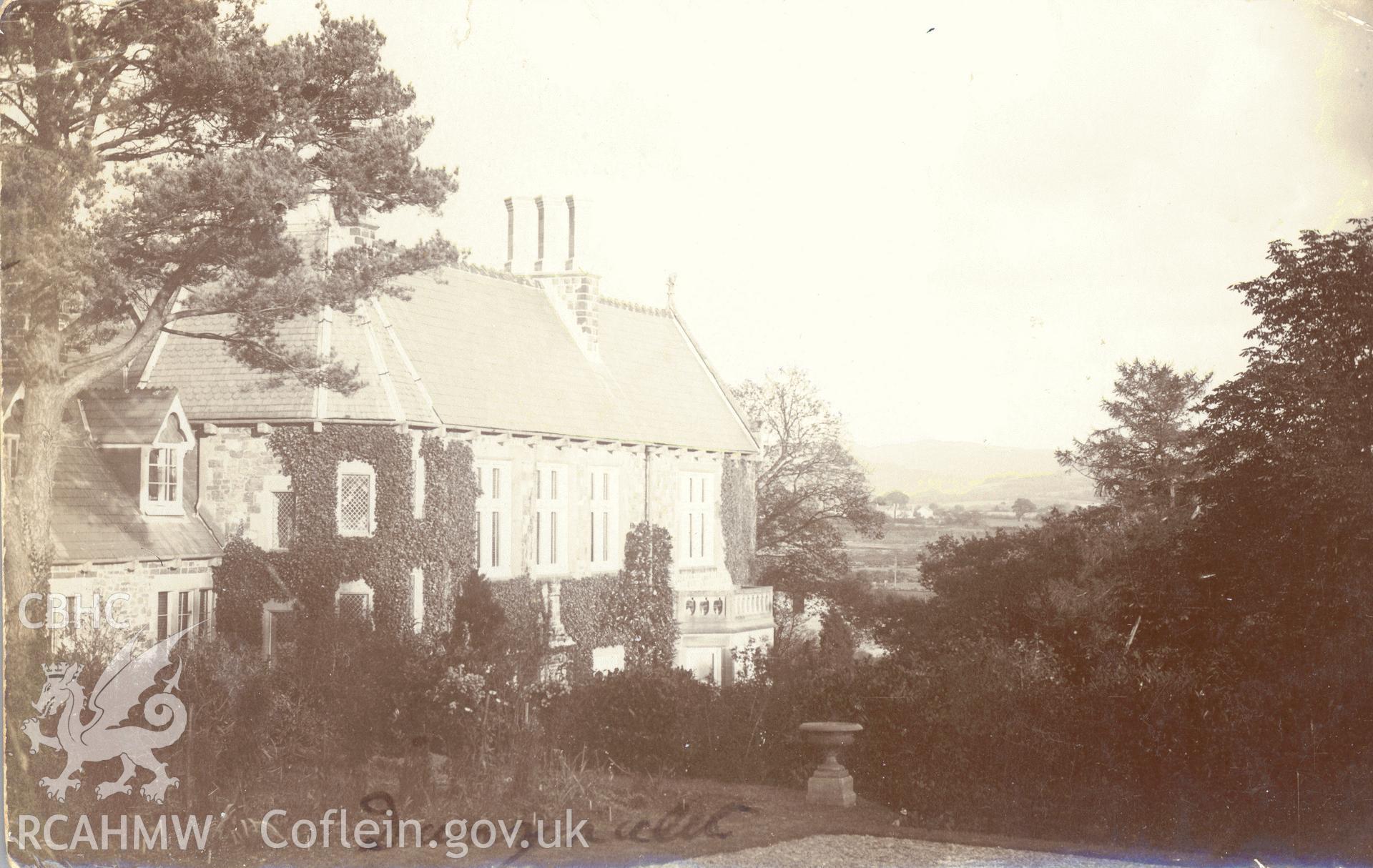 Digitised postcard image of Danyrallt Park, Llangadog. Produced by Parks and Gardens Data Services, from an original item in the Peter Davis Collection at Parks and Gardens UK. We hold only web-resolution images of this collection, suitable for viewing on screen and for research purposes only. We do not hold the original images, or publication quality scans.