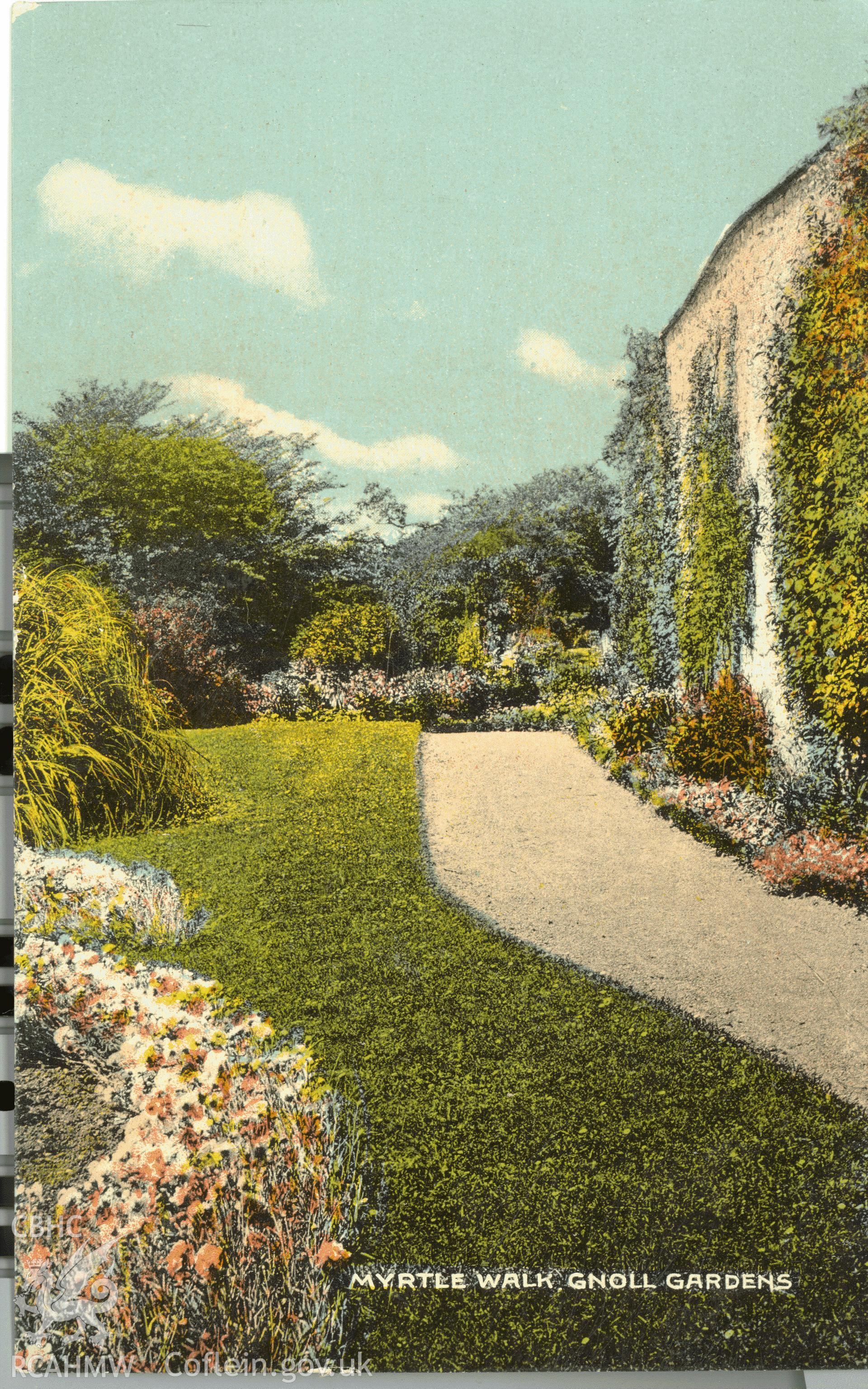 Digitised postcard image of Gnoll House garden, Neath, showing Myrtle walk. Produced by Parks and Gardens Data Services, from an original item in the Peter Davis Collection at Parks and Gardens UK. We hold only web-resolution images of this collection, suitable for viewing on screen and for research purposes only. We do not hold the original images, or publication quality scans.