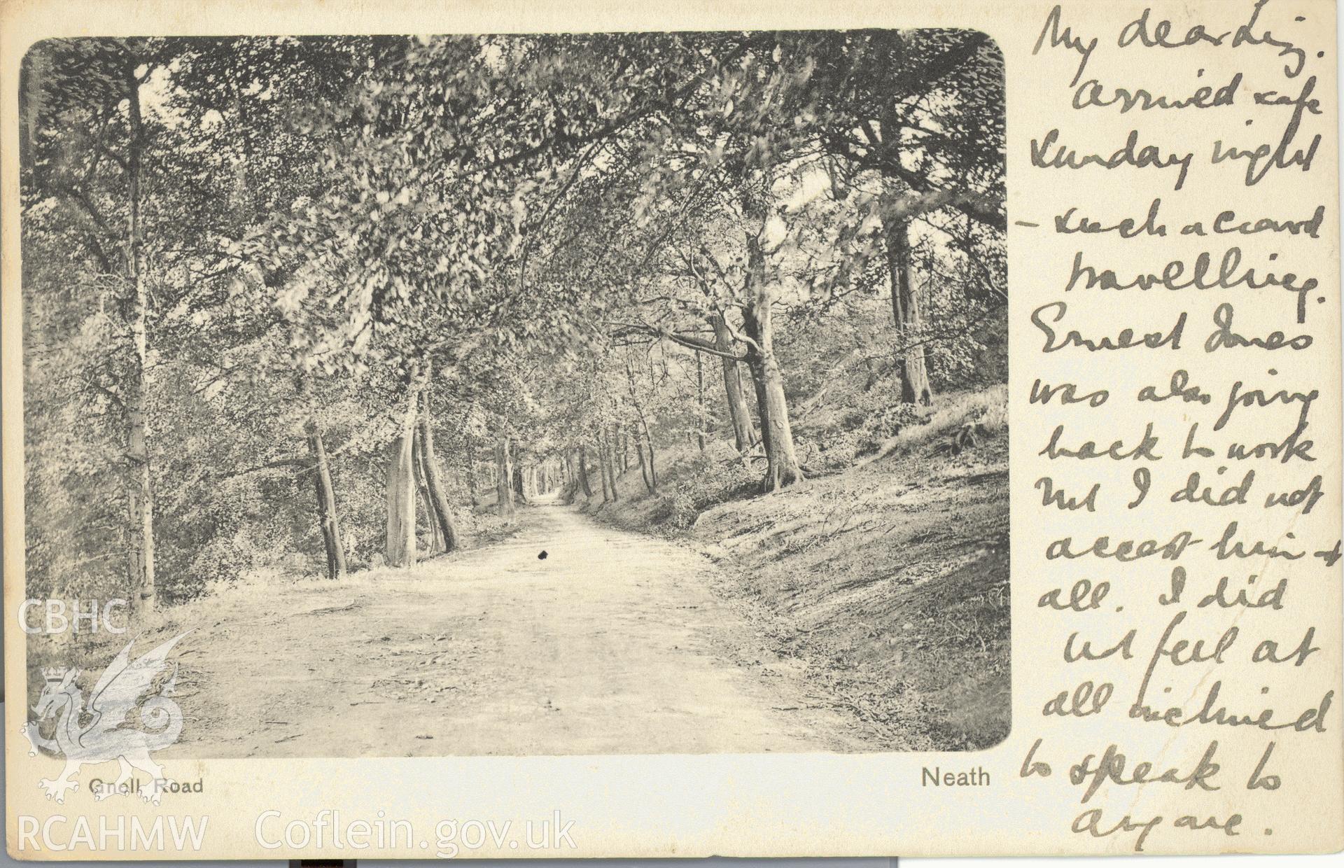 Digitised postcard image of Gnoll House garden, Neath, showing road through woods, Stewart and Woolf, London. Produced by Parks and Gardens Data Services, from an original item in the Peter Davis Collection at Parks and Gardens UK. We hold only web-resolution images of this collection, suitable for viewing on screen and for research purposes only. We do not hold the original images, or publication quality scans.