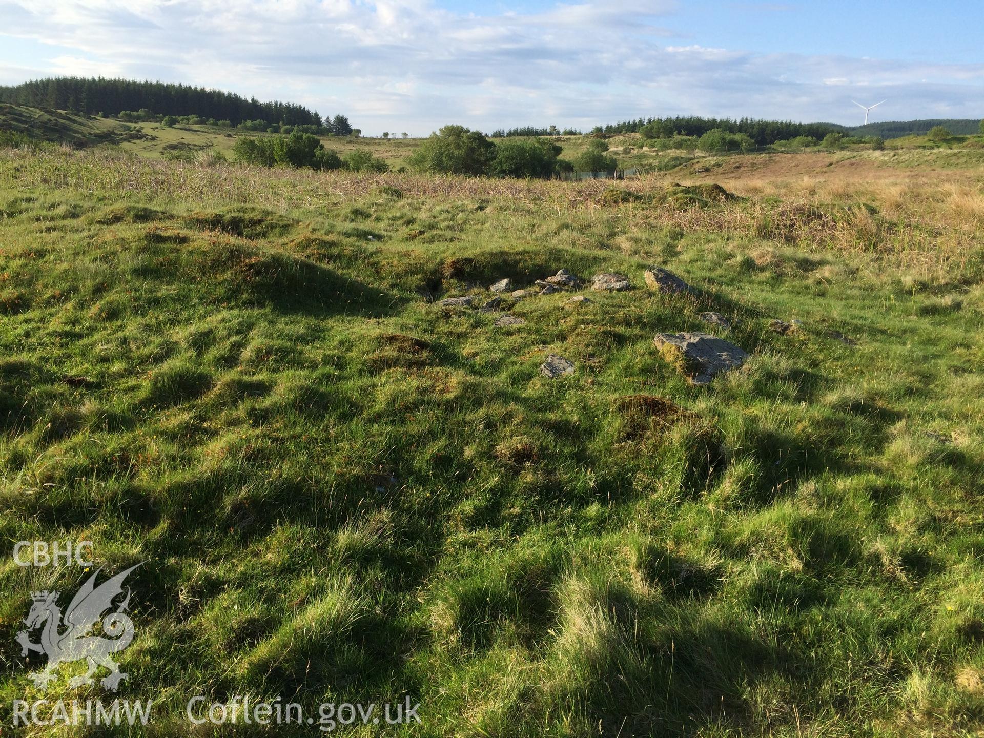 Colour photo showing Hendre'r Gelli, taken by Paul R. Davis, 2nd June 2016.