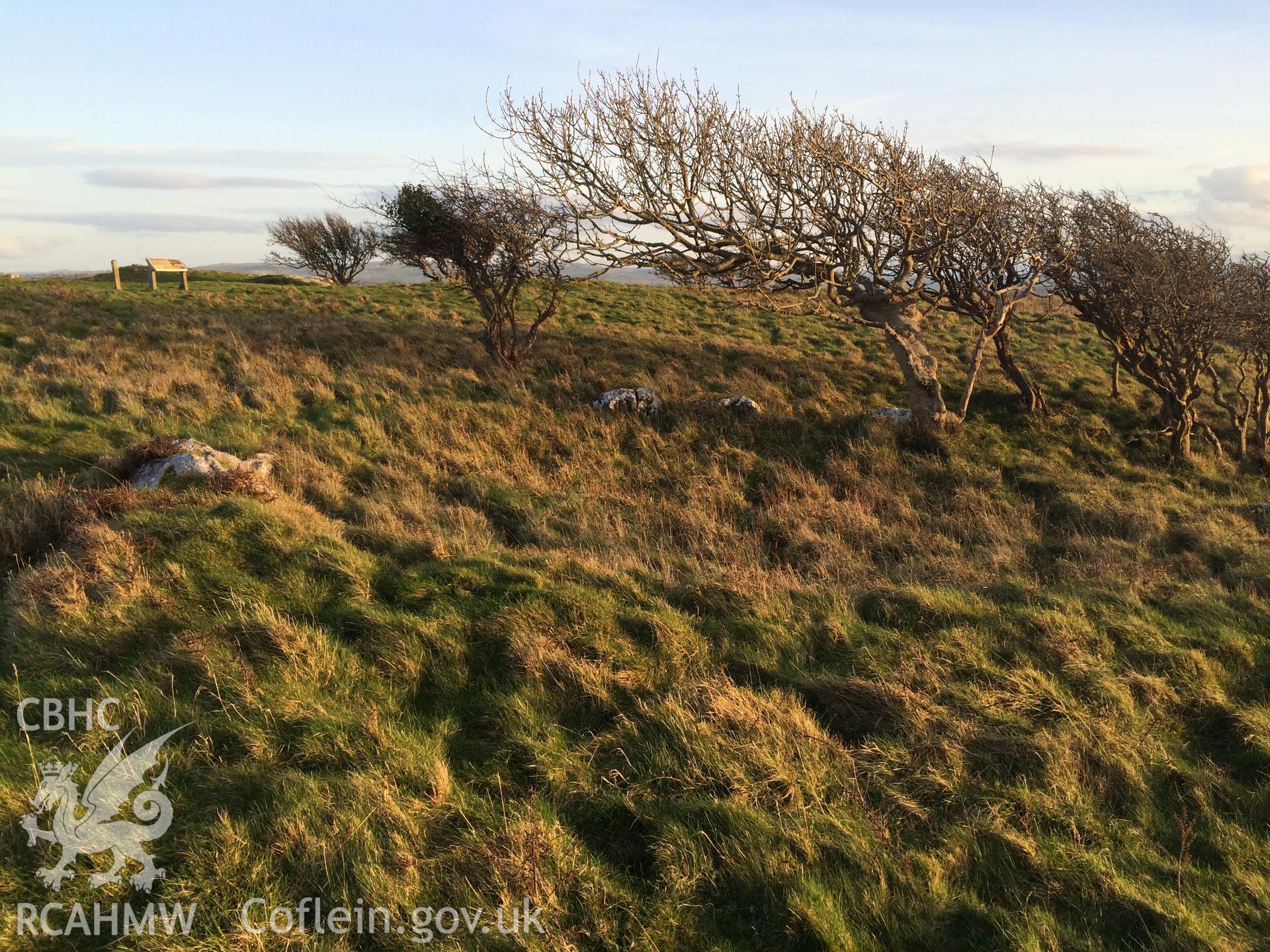 Colour photo showing hut circles on Pen y Dinas Hillfort, produced by Paul R. Davis,  14th March 2017.