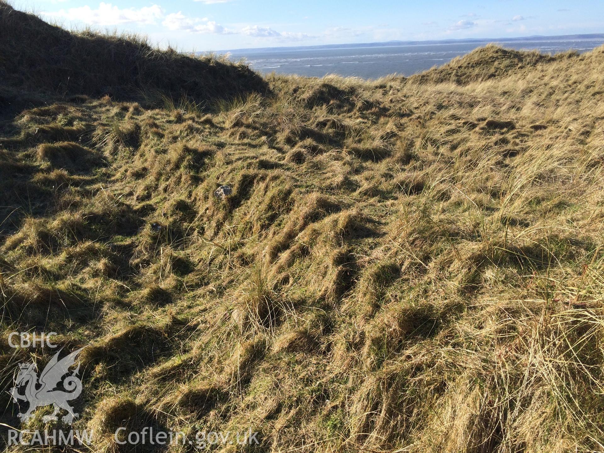 Colour photo showing Broughton Burrows, taken by Paul R. Davis, 30th March 2016.