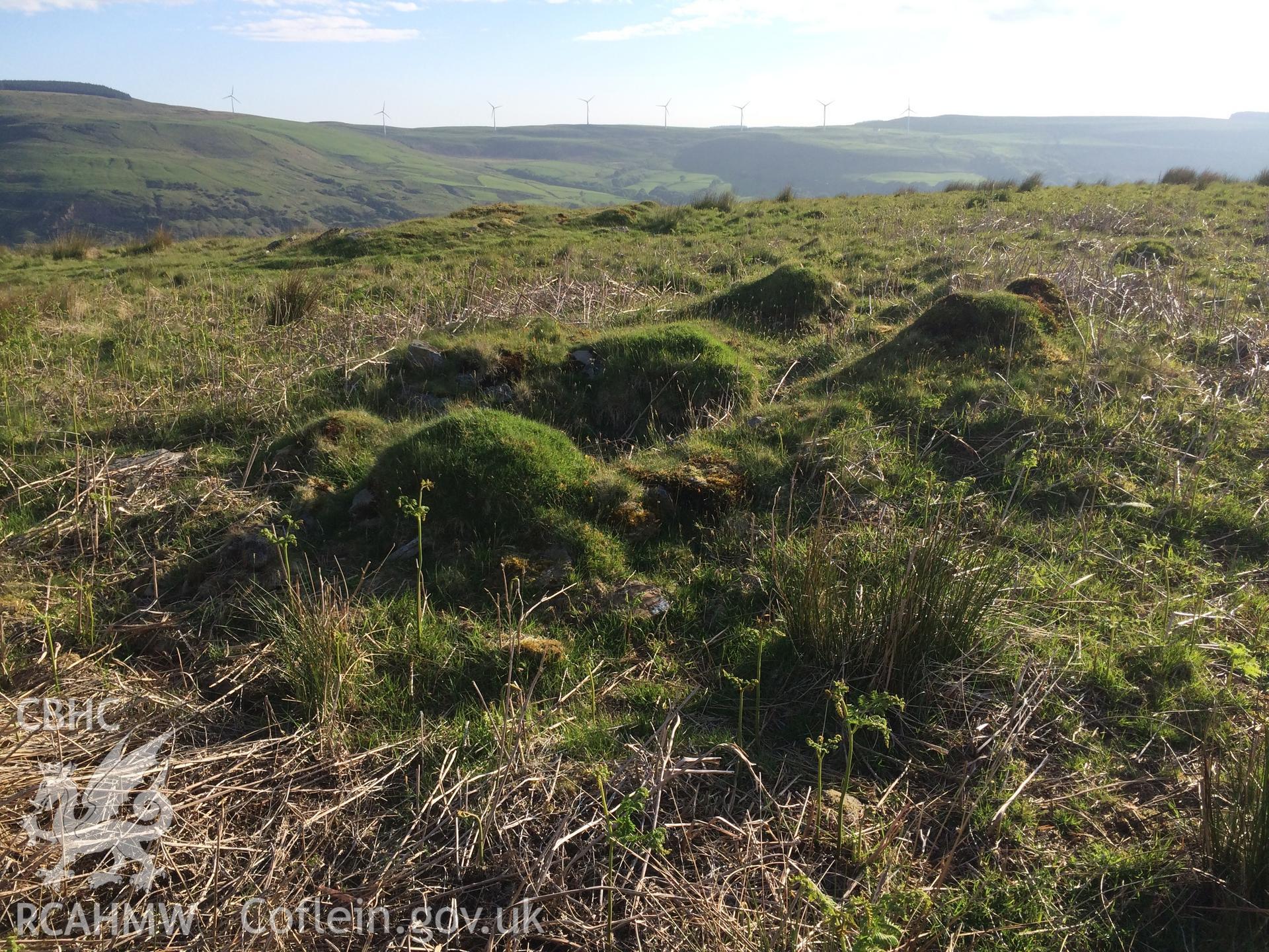 Colour photo showing Hendre'r Gelli, taken by Paul R. Davis, 2nd June 2016.