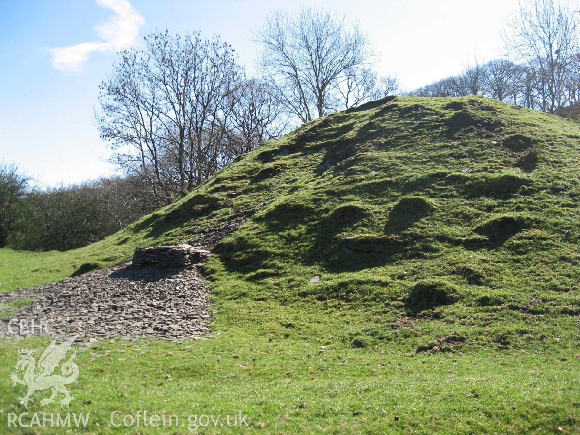 Colour photo of Aberedw Castle Mound, taken by Paul R. Davis, 24th January 2007.