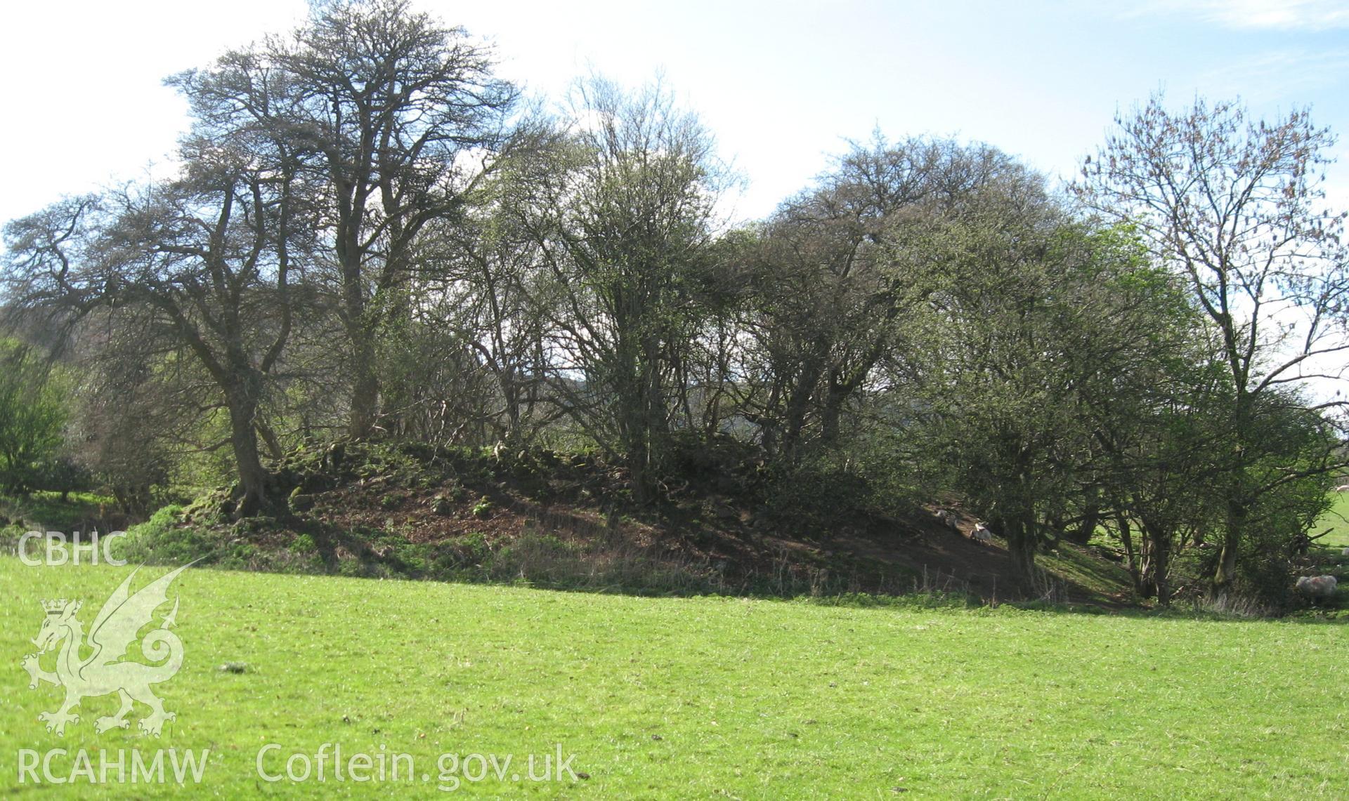 Colour photo of Hen Castell, taken by Paul R. Davis, 24th January 2007.