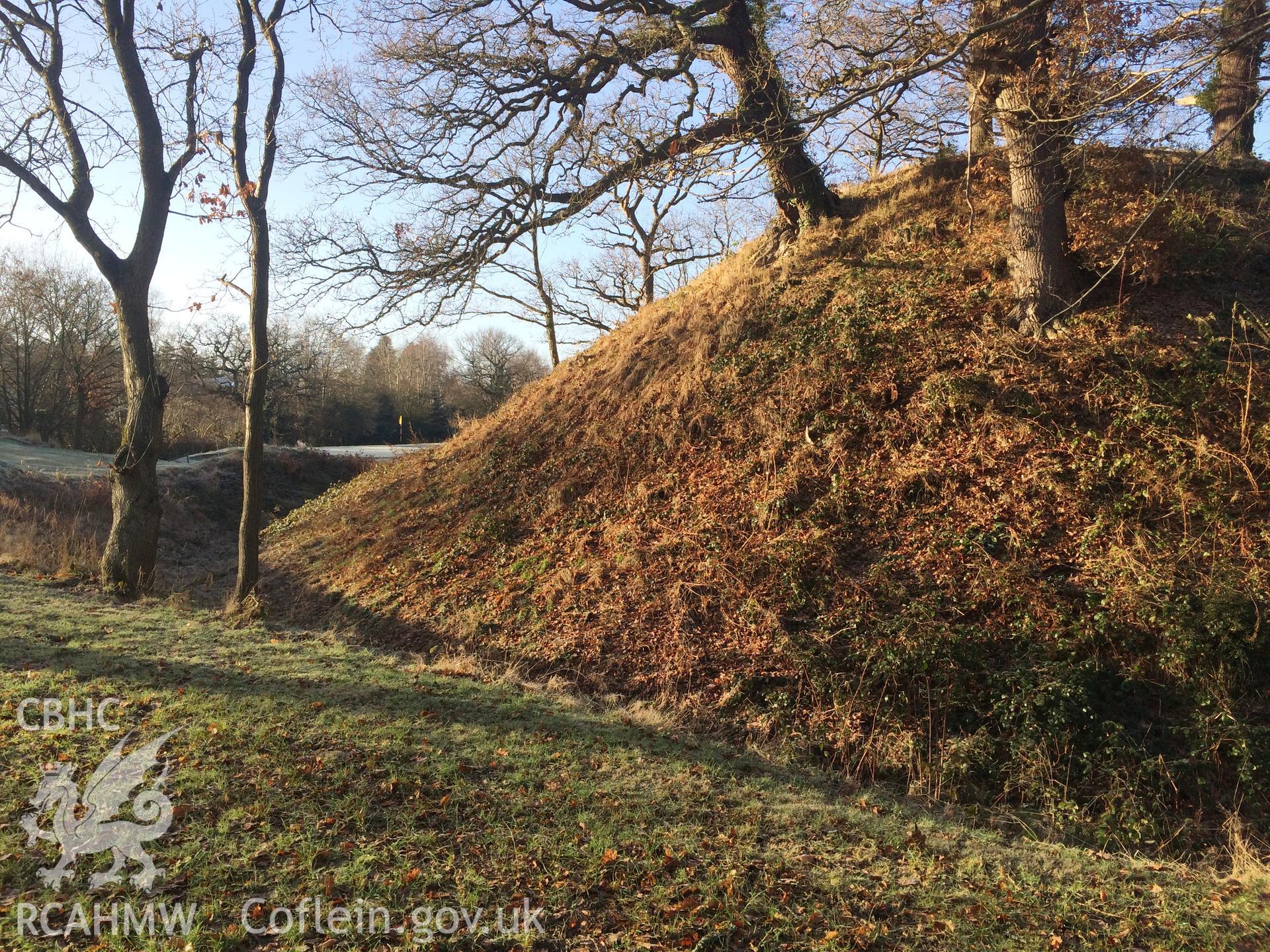 Colour photo showing Gro Tump, produced by Paul R. Davis, 2nd January 2017.