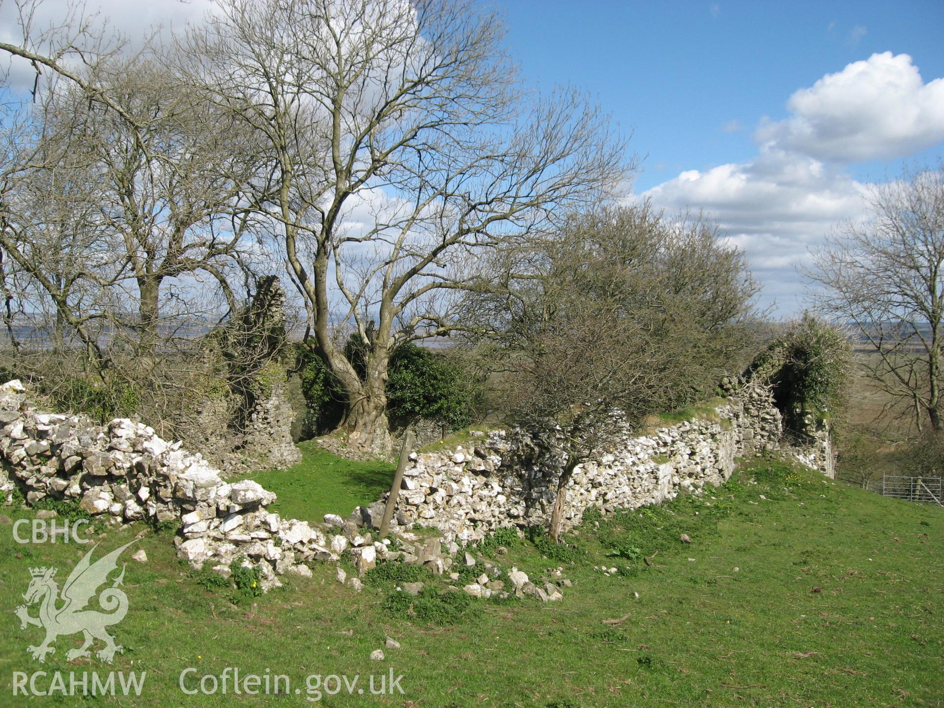 Colour photo of Landimor Castle, taken by Paul R. Davis, 11th January 2007.