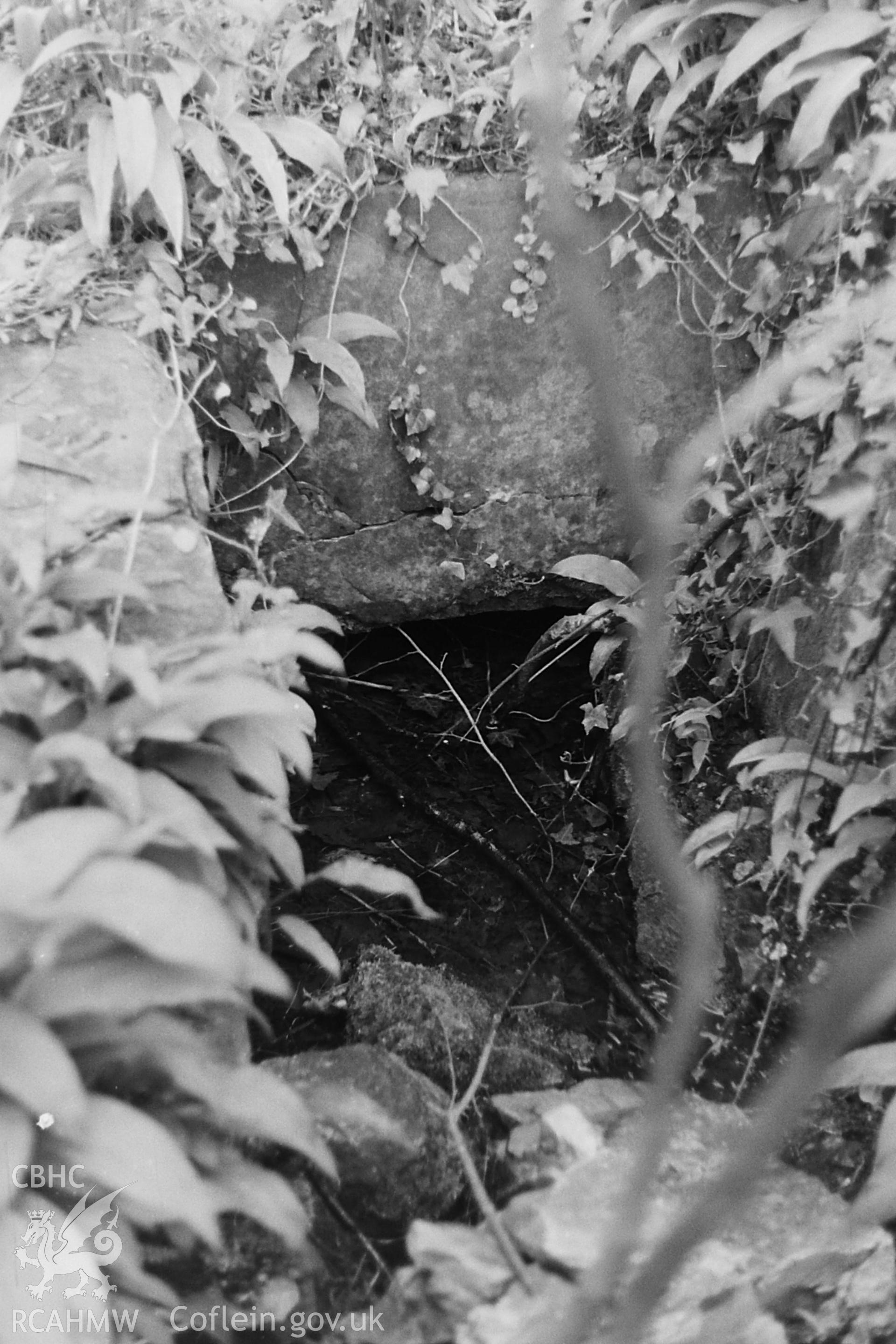 Black and white photo showing St Peter's Well, taken by Paul R. Davis, undated.