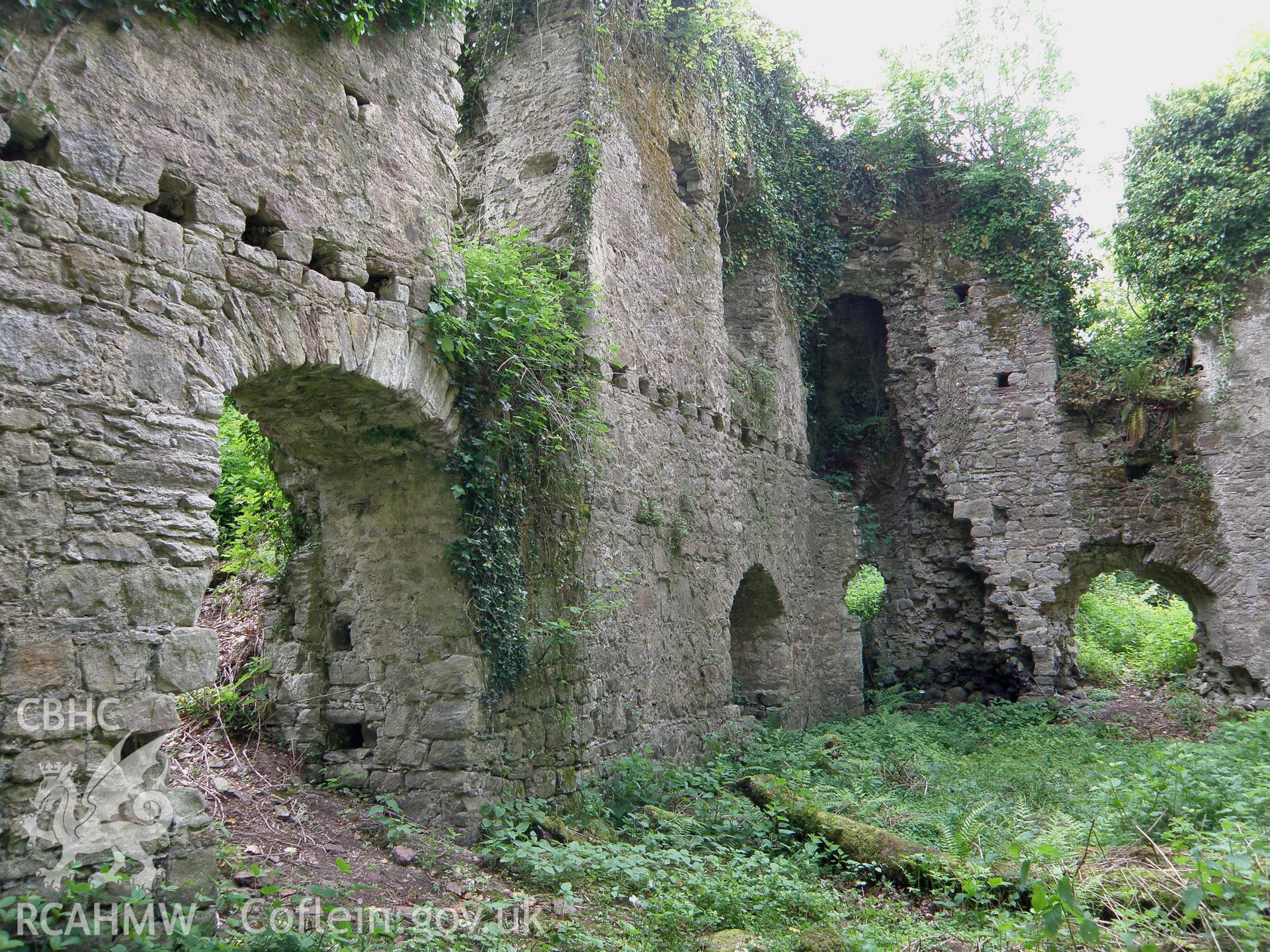 Colour photo of Newhouse remains, taken by Paul R. Davis, 30th May 2010.