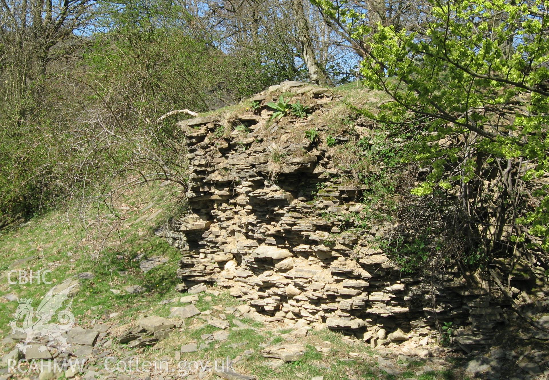 Colour photo of Aberedw Castle, taken by Paul R. Davis, 24th January 2007.