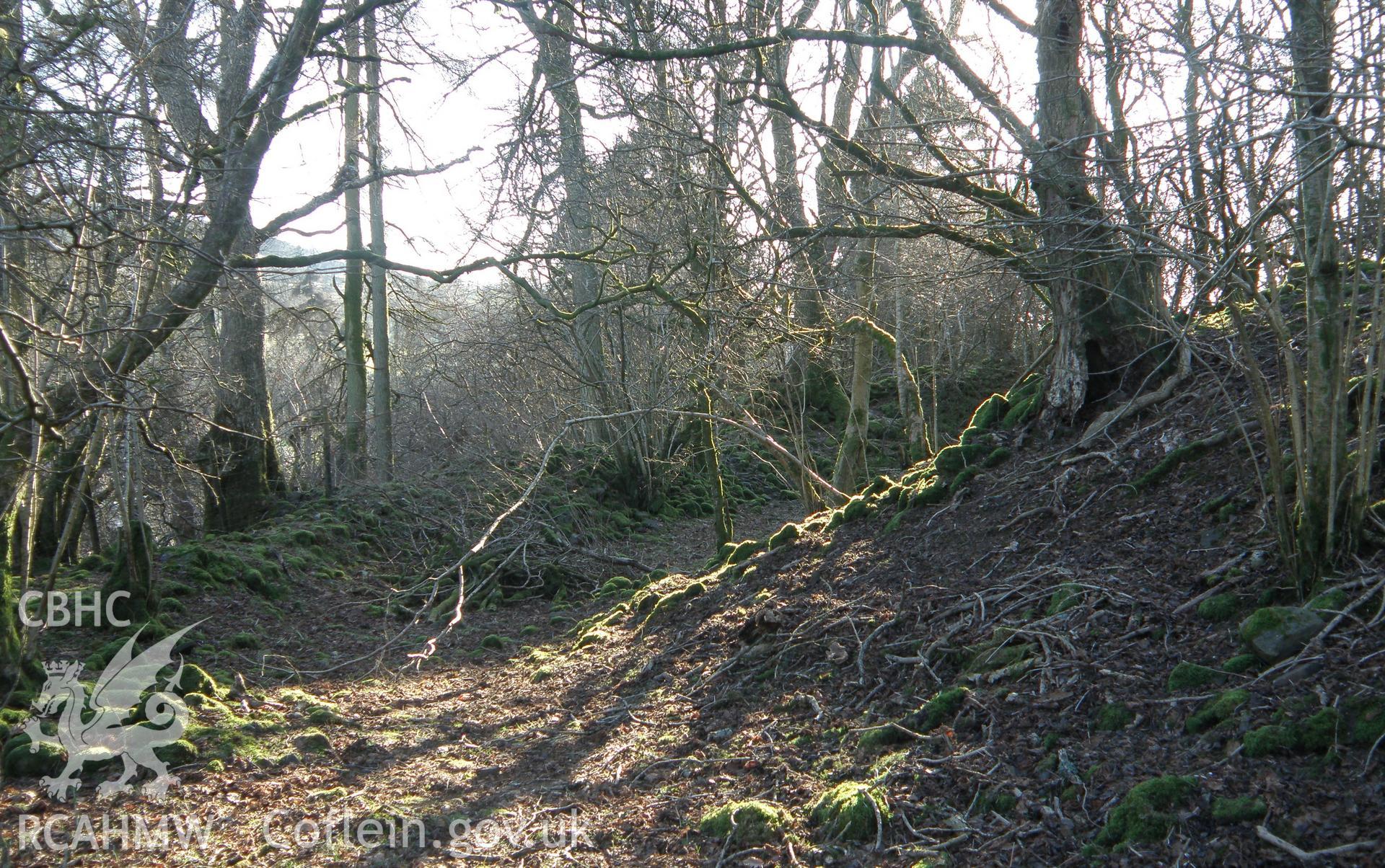 Colour photo of Ystradfellte Castle, taken by Paul R. Davis, 1st January 2010.