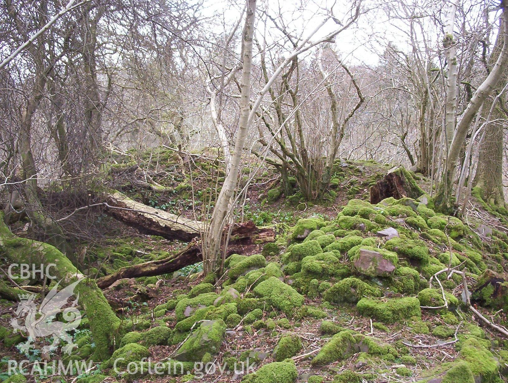 Colour photo of Ystradfellte Castle, taken by Paul R. Davis, 3rd April 2006.