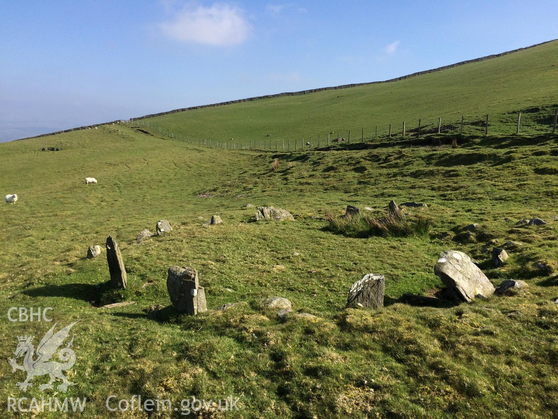 Colour photo showing cairn circles at Moel Goedog, produced by Paul R. Davis,  8th April 2017.