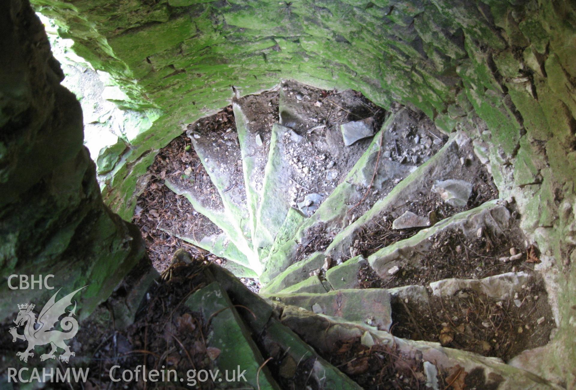 Colour photo of Llanfair Castle, taken by Paul R. Davis, 28th December 2006.