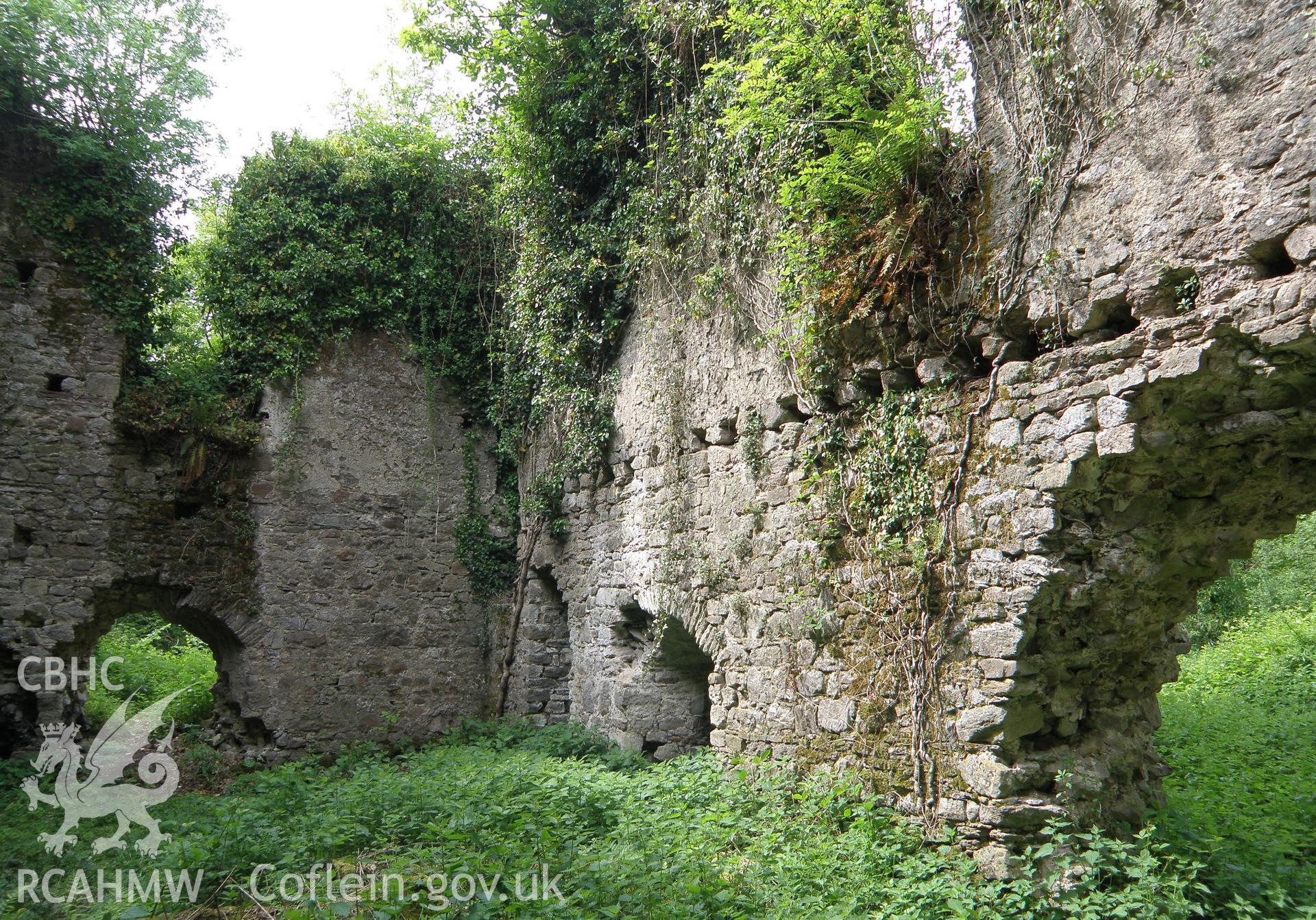 Colour photo of Newhouse remains, taken by Paul R. Davis, 30th May 2010.