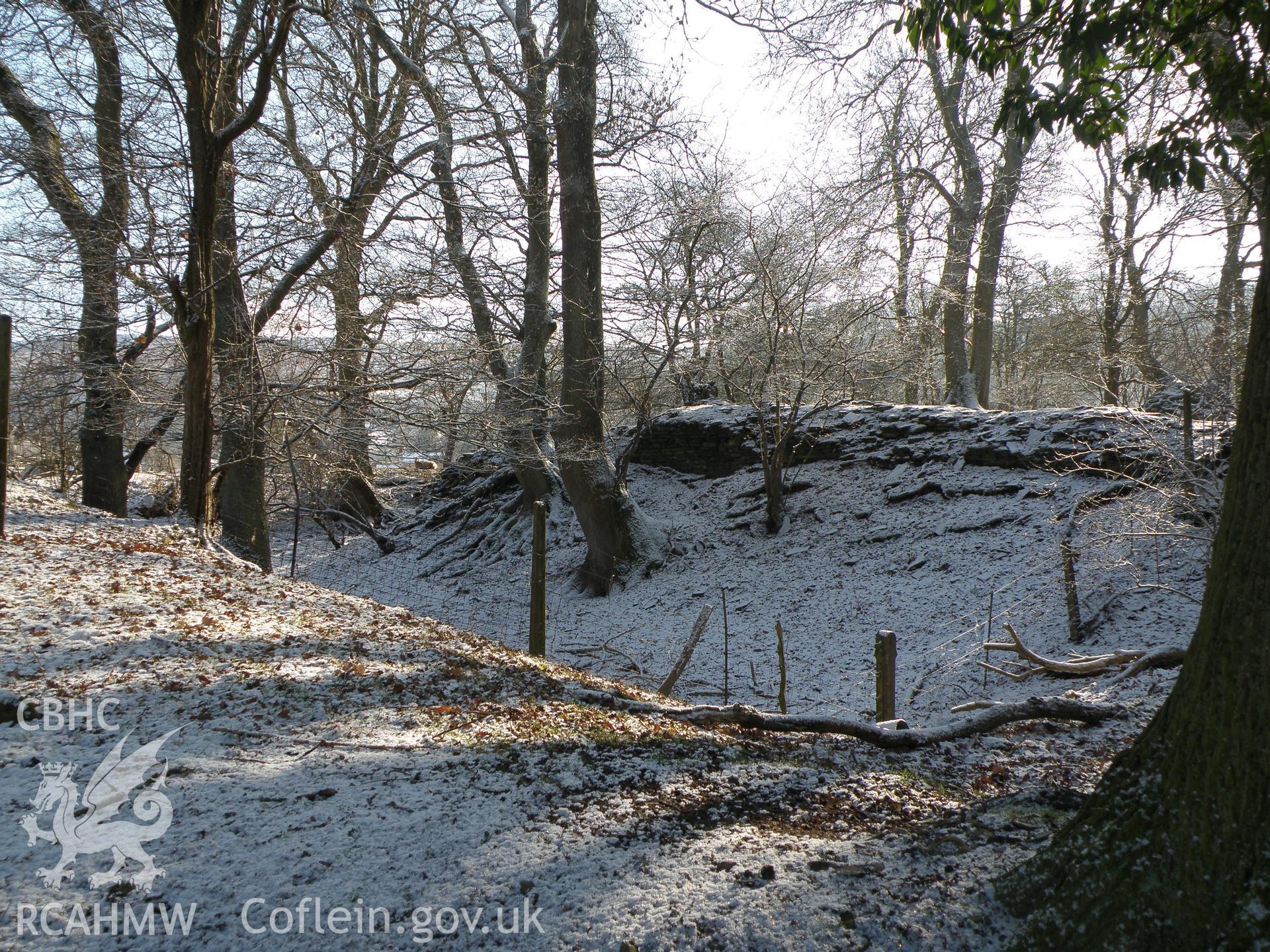 Colour photo of Aberedw Castle, taken by Paul R. Davis, 20th February 2010.