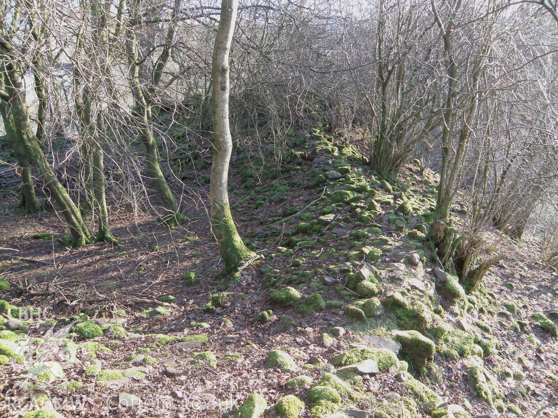 Colour photo of Ystradfellte Castle, taken by Paul R. Davis, 1st January 2010.