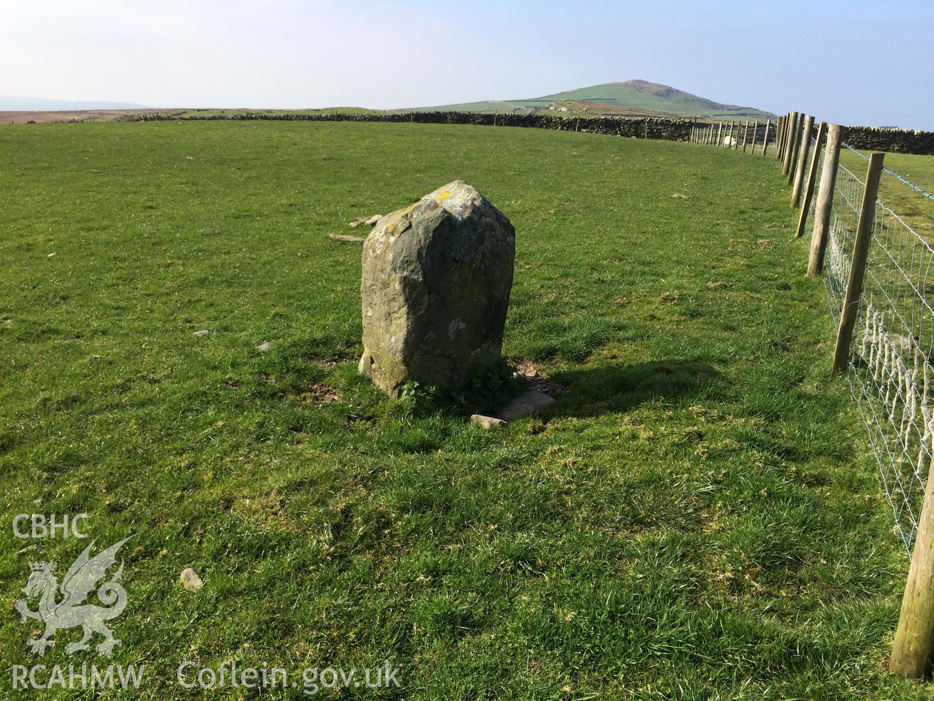 Colour photo showing standing stones at Moel Goedog, produced by Paul R. Davis,  8th April 2017.