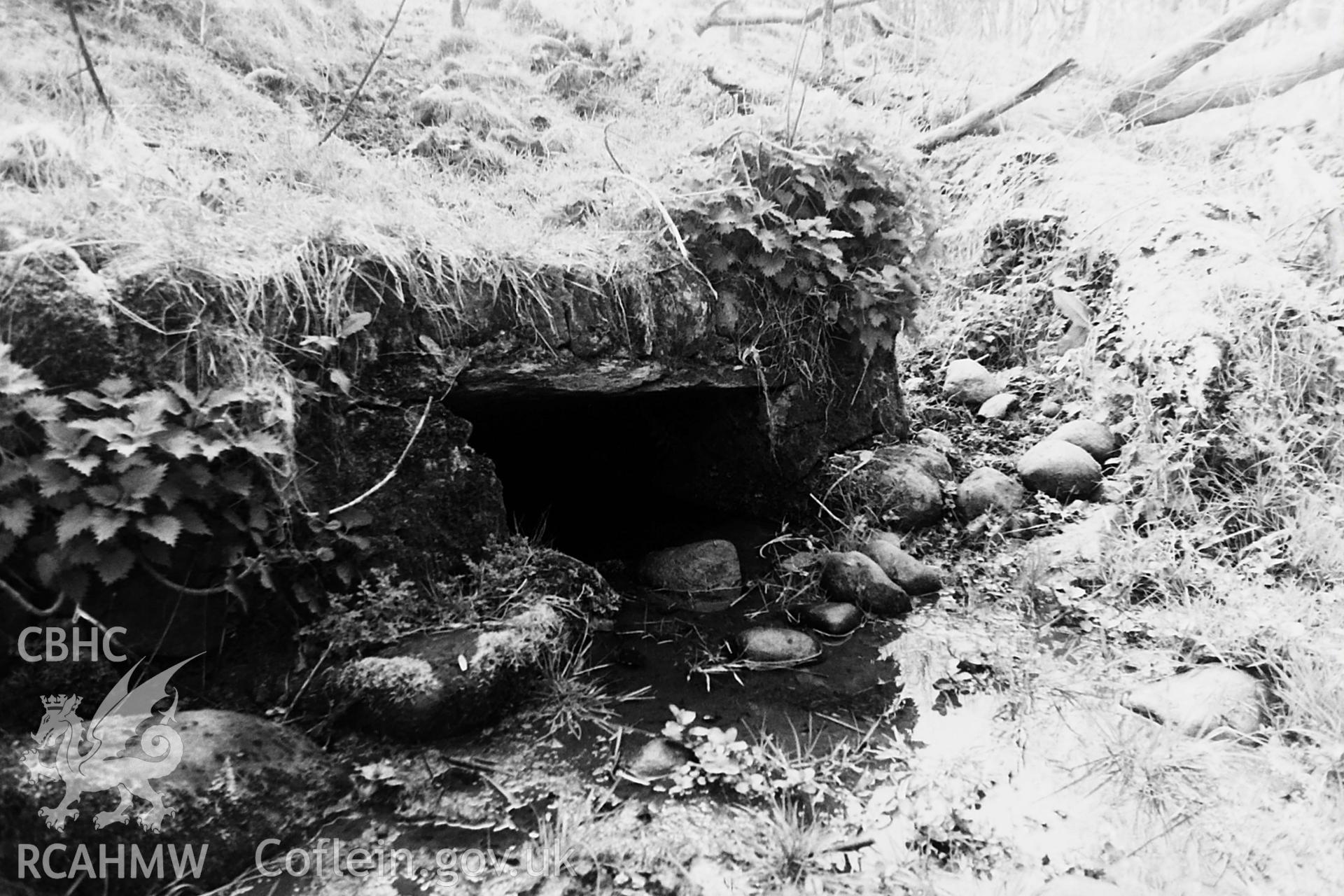 Black and white photo showing Ffynnon Adliw, taken by Paul R. Davis, undated.