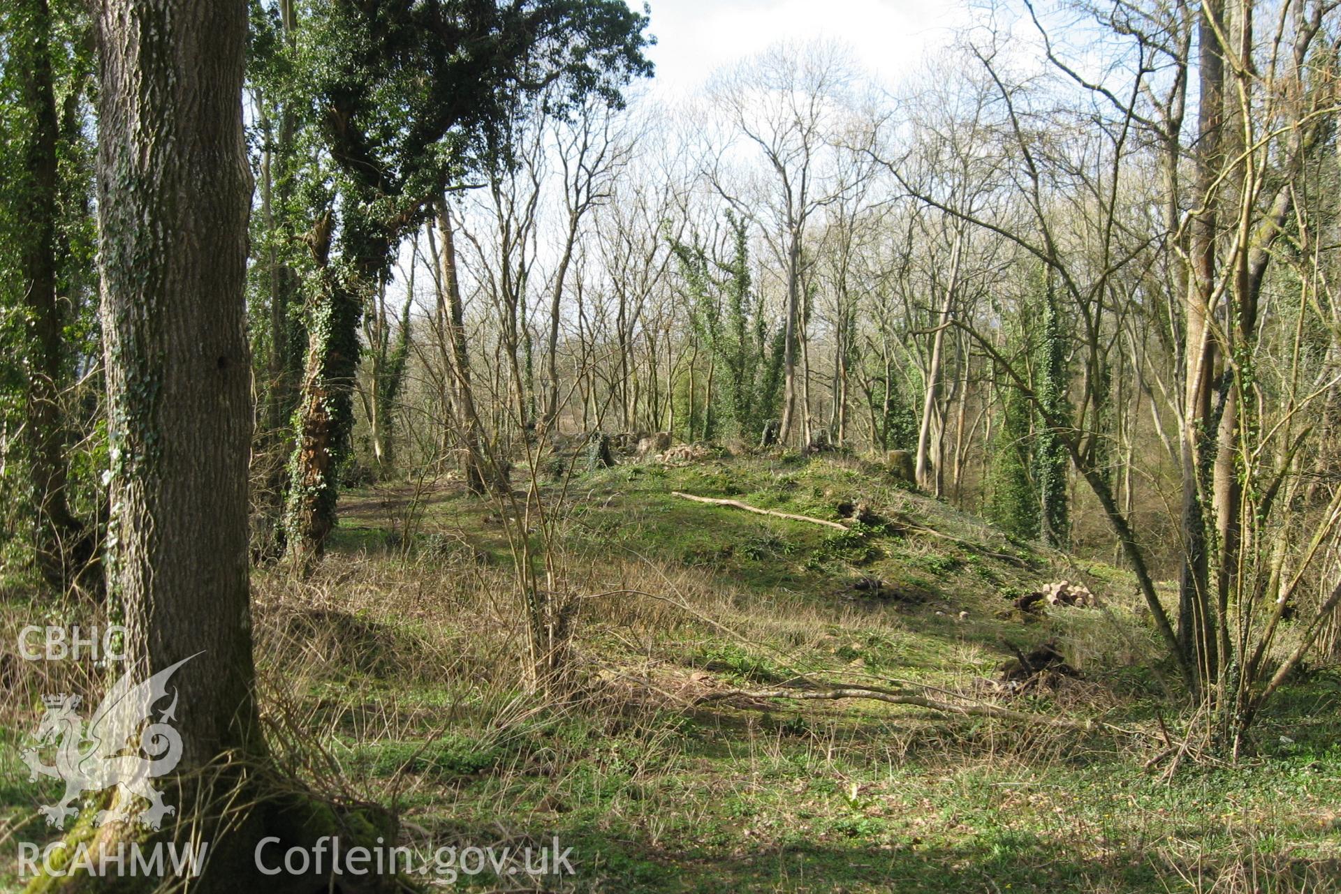 Colour photo of Dinham Castle, taken by Paul R. Davis, 28th December 2006.