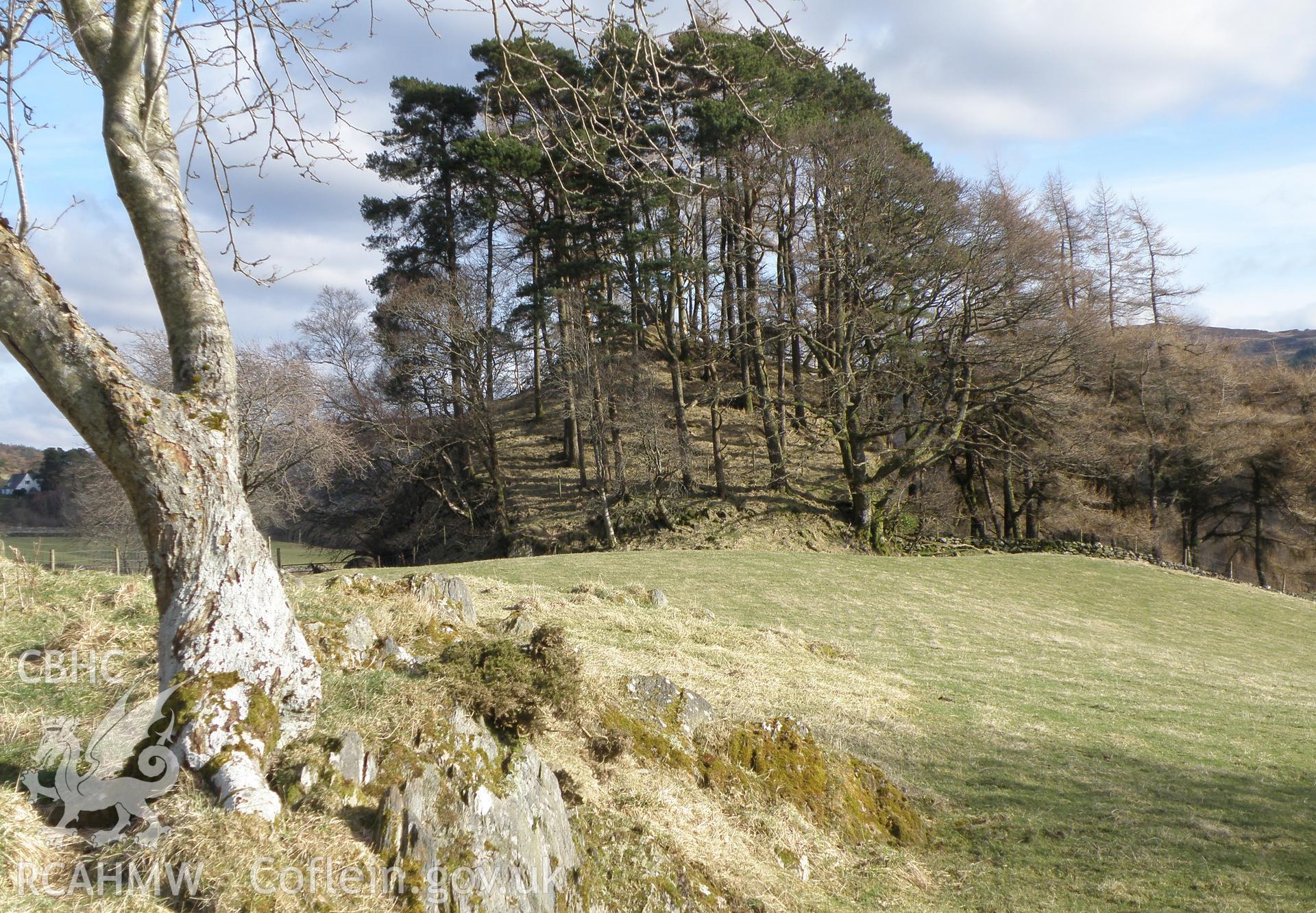 Colour photo of Tomen Castell, taken by Paul R. Davis, 13th February 2010.