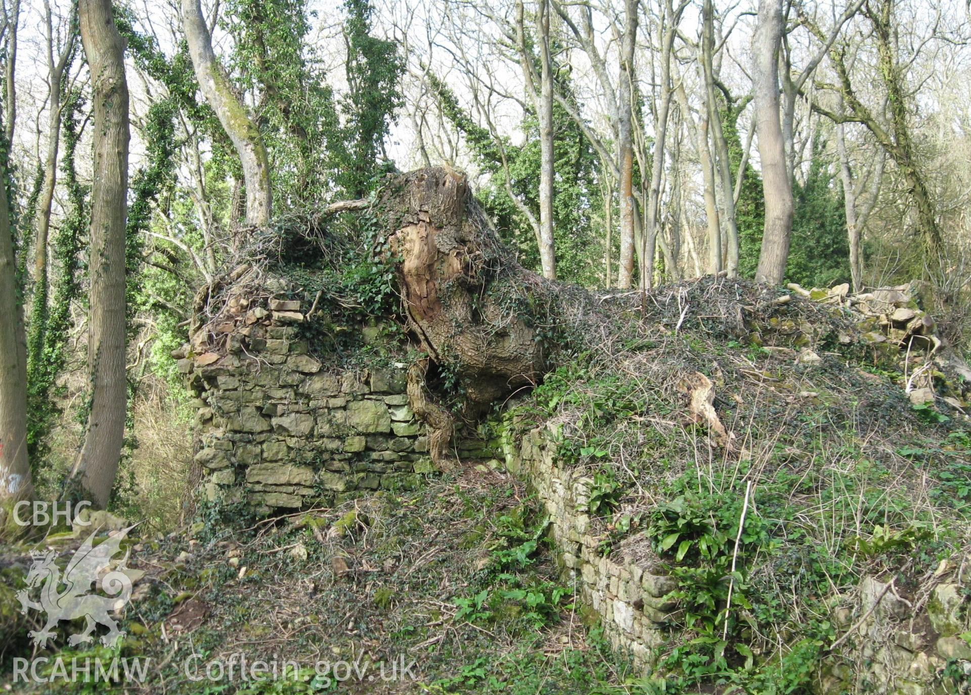 Colour photo of Dinham Castle, taken by Paul R. Davis, 28th December 2006.