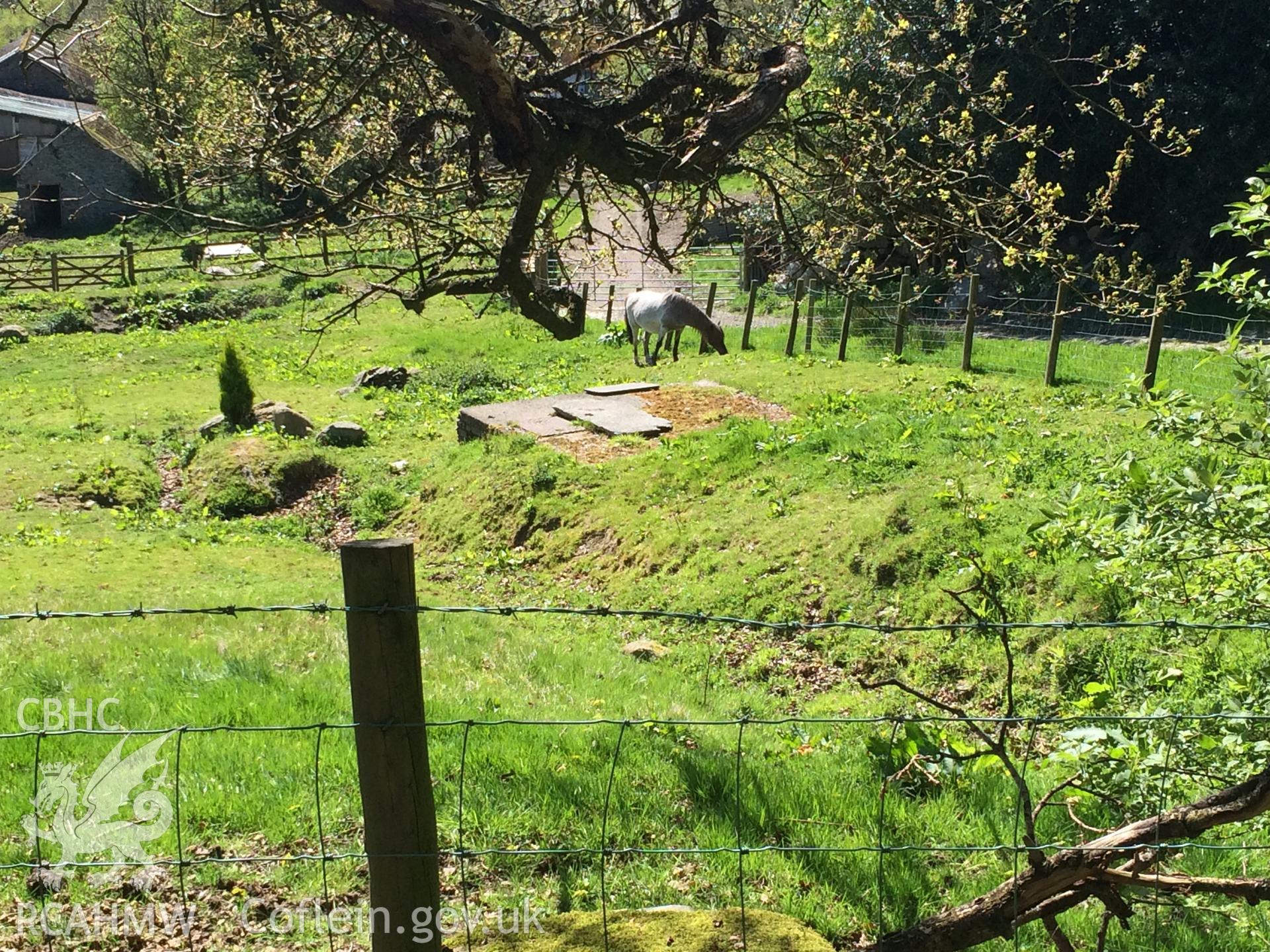 Colour photo showing Llanfor Well,  produced by Paul R. Davis, 22nd April 2017.