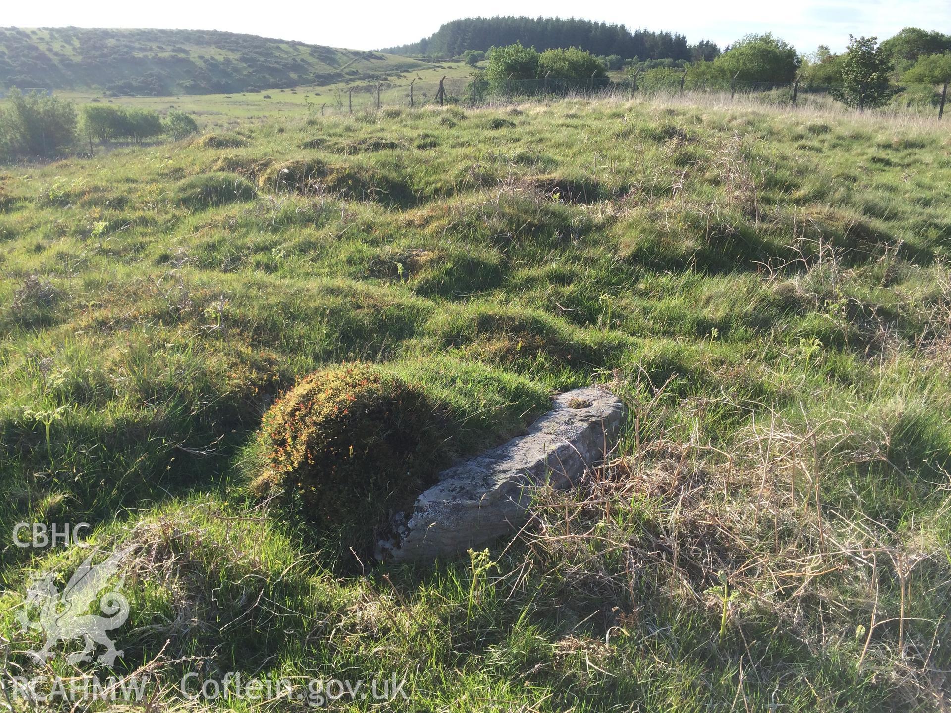 Colour photo showing Mynydd y Gelli, taken by Paul R. Davis, 2nd June 2016.