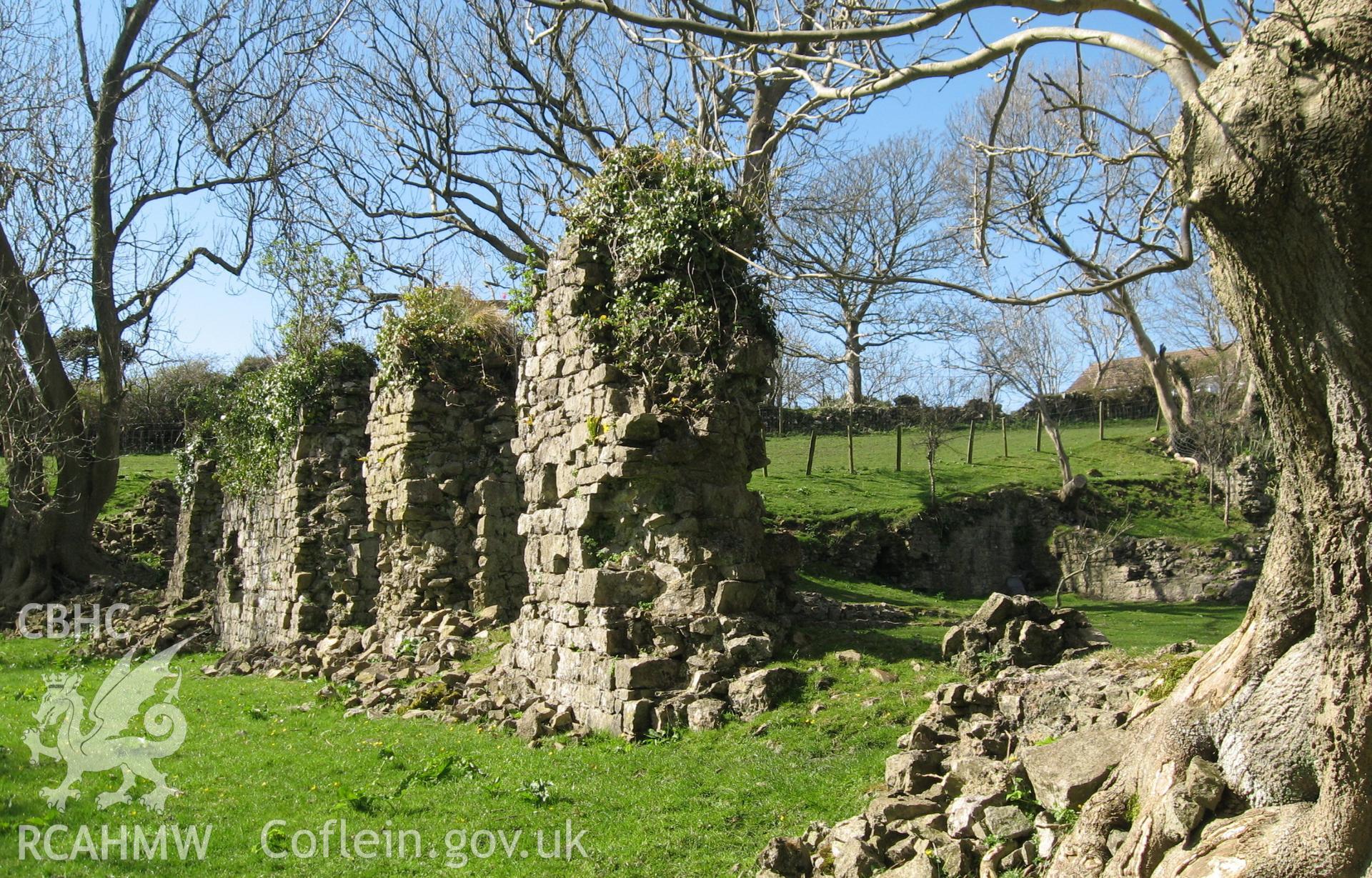 Colour photo of Landimor Castle, taken by Paul R. Davis, 11th January 2007.