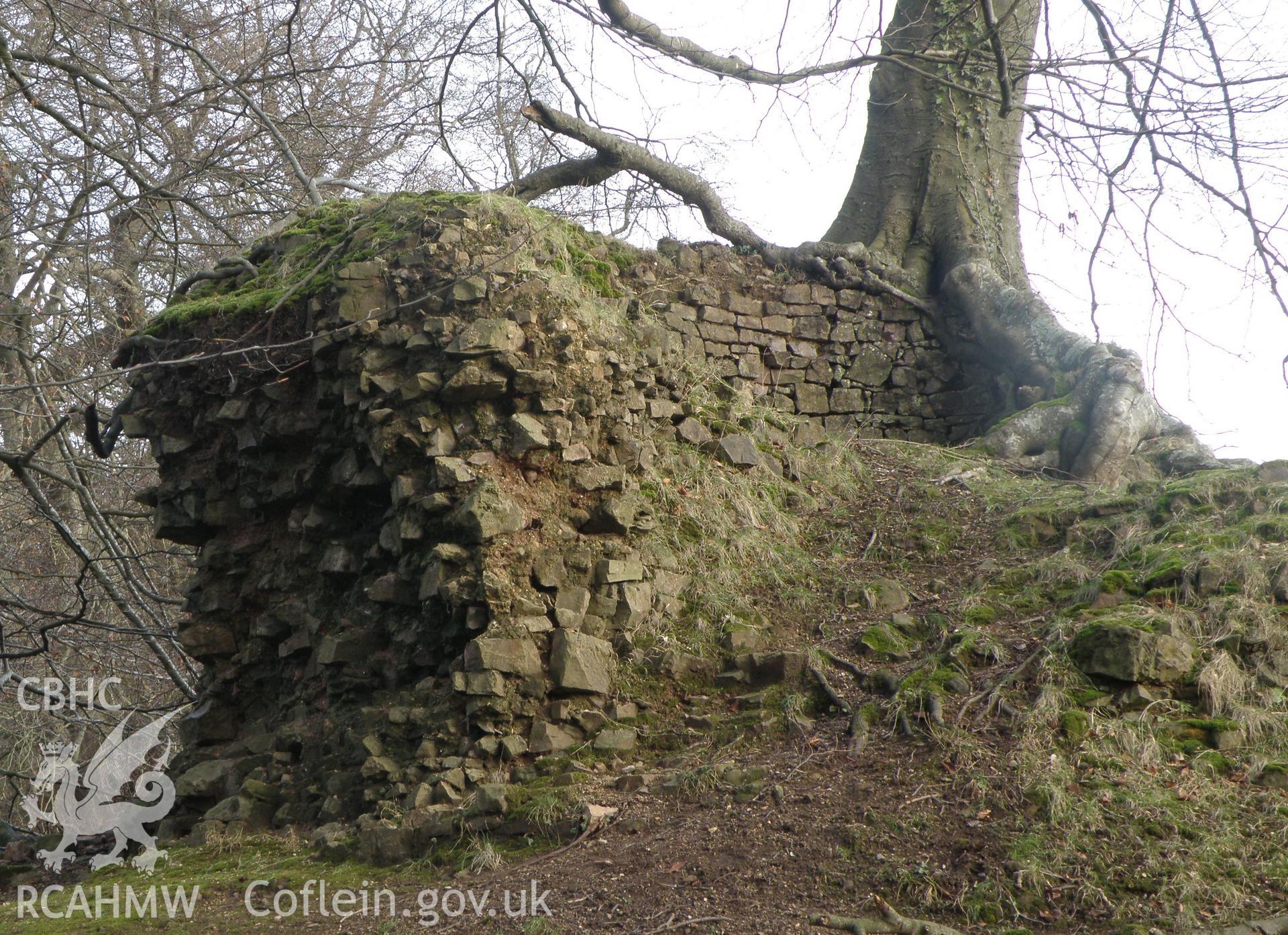 Colour photo of Castell Meredydd, taken by Paul R. Davis, 28th December 2009.