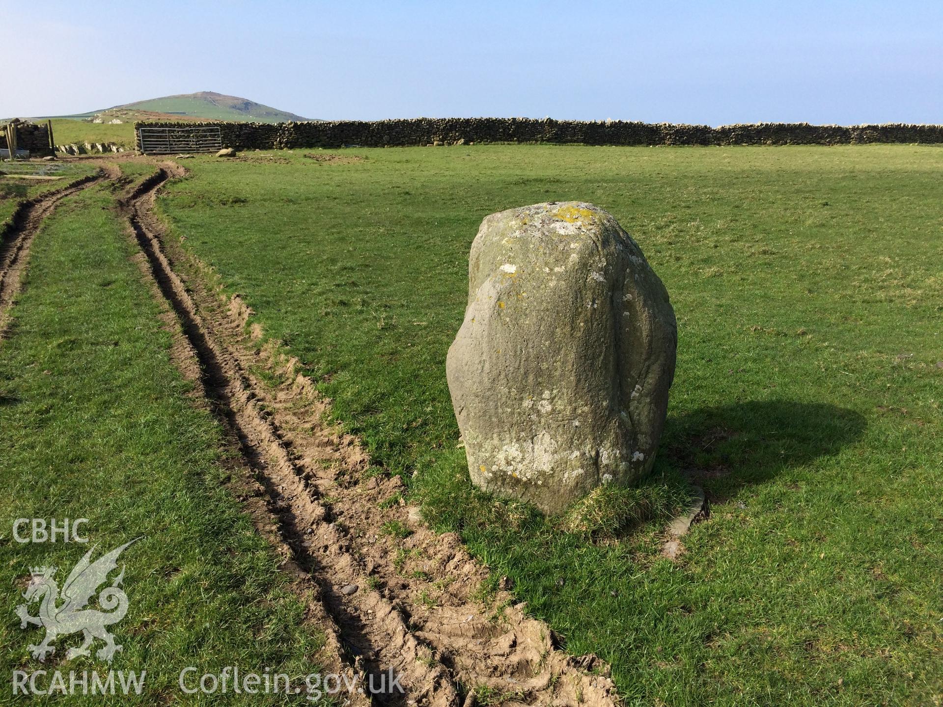 Colour photo showing Fon Lief standing stone "D", produced by Paul R. Davis,  8th April 2017.