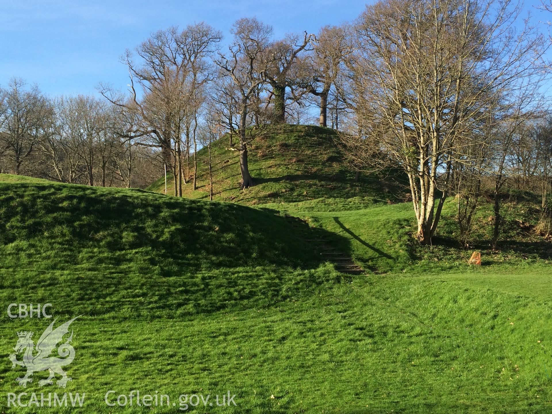 Colour photo showing Gro Tump, produced by Paul R. Davis, 25th March 2017.