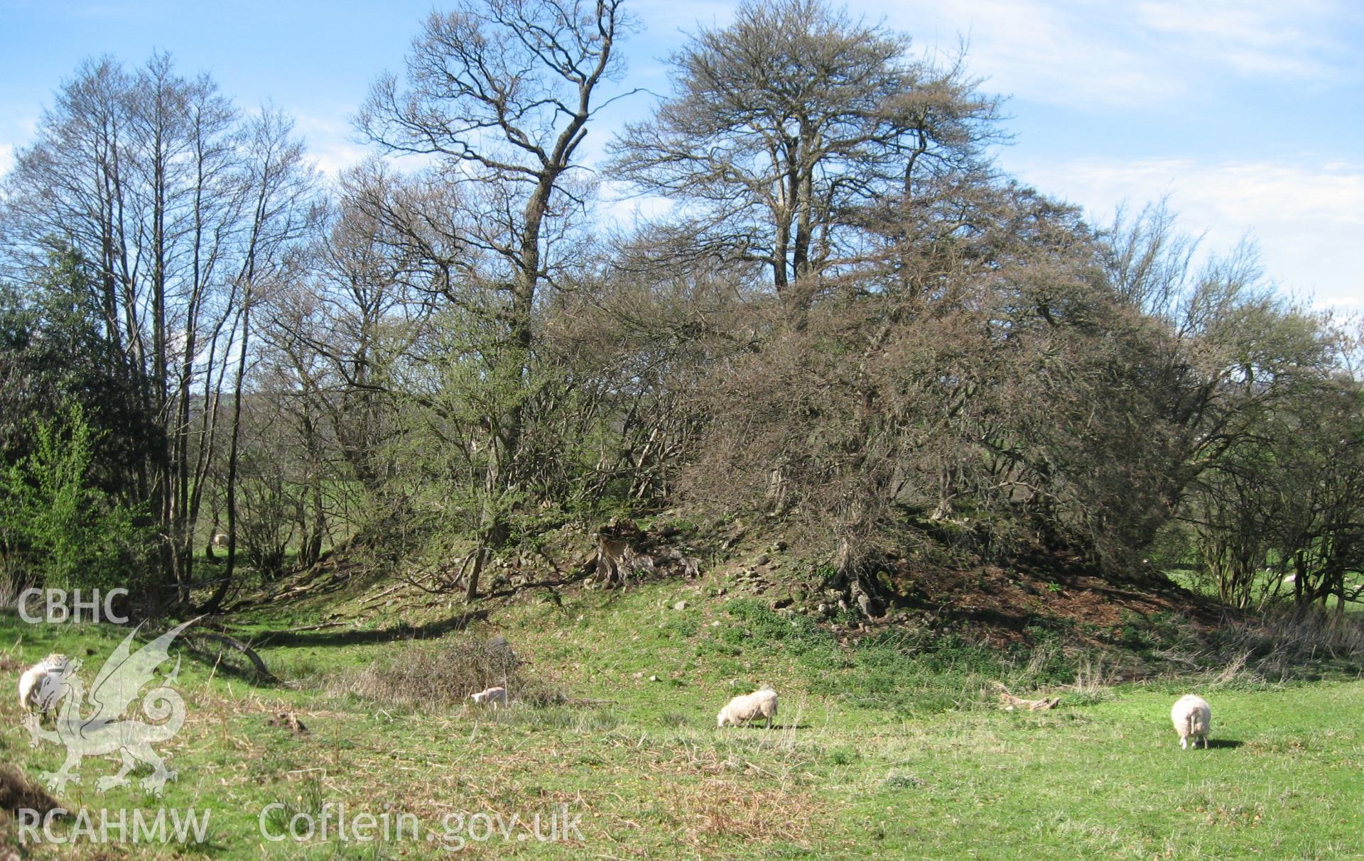 Colour photo of Hen Castell, taken by Paul R. Davis, 24th January 2007.